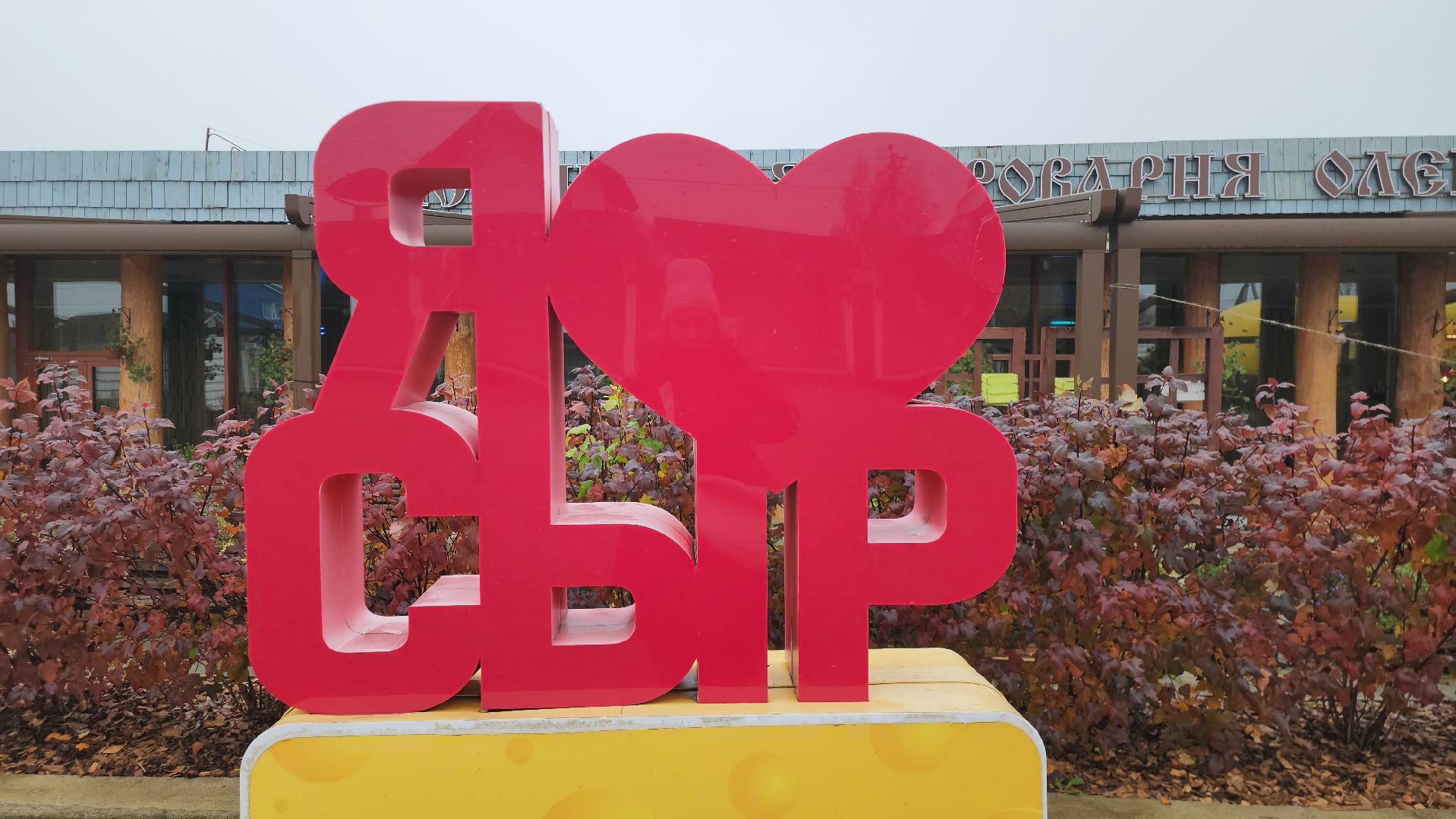 Истра, Сыр, Бизнес,