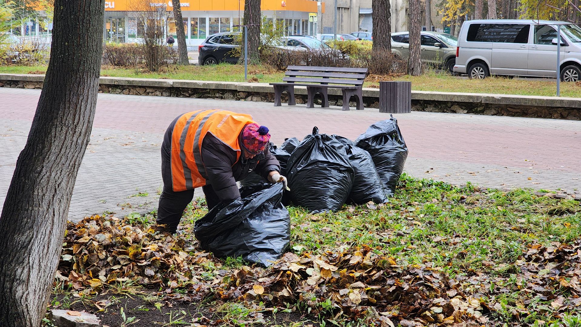 протвино ,  благоустройство, палая листва,