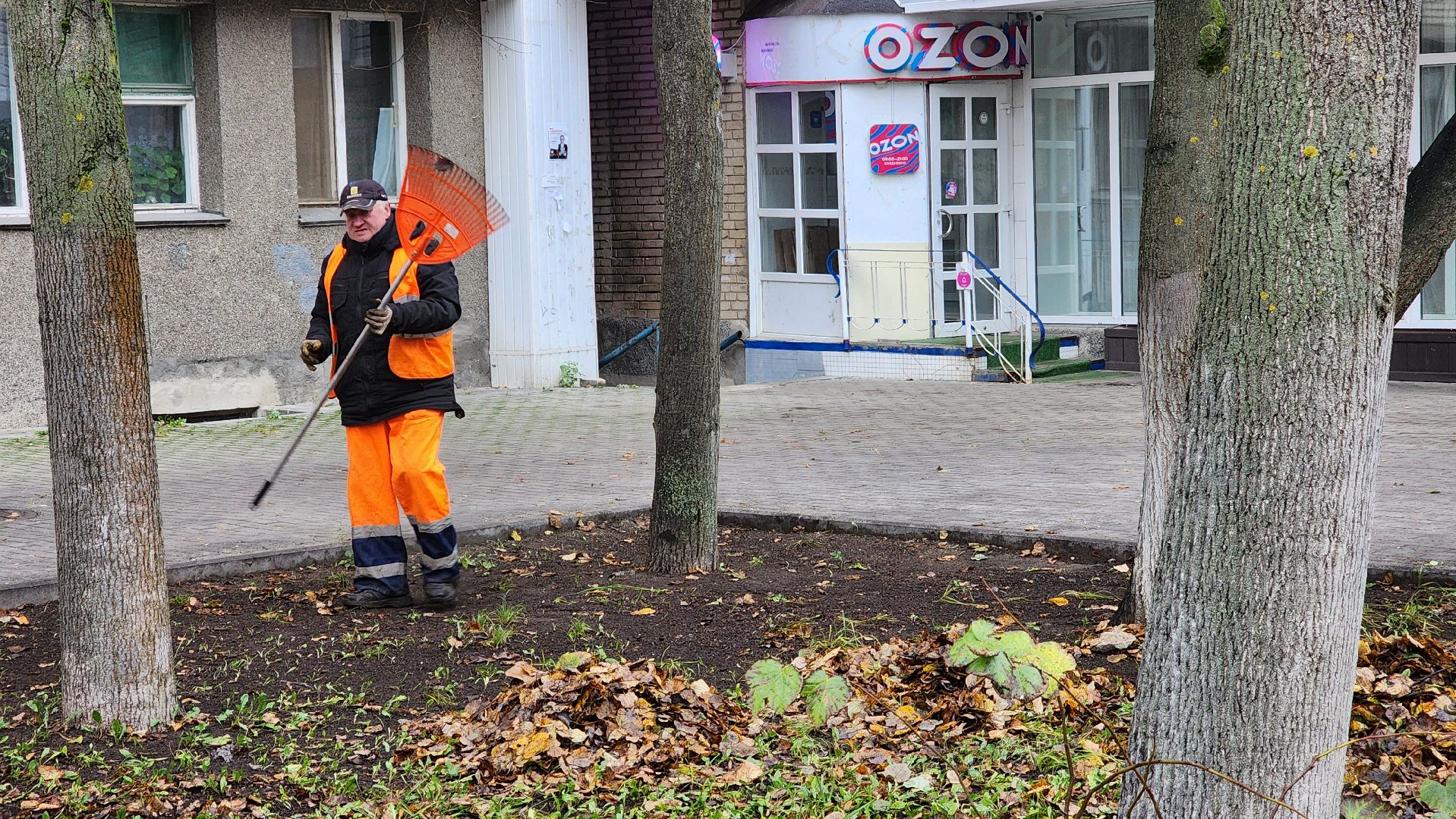 протвино ,  благоустройство, палая листва,