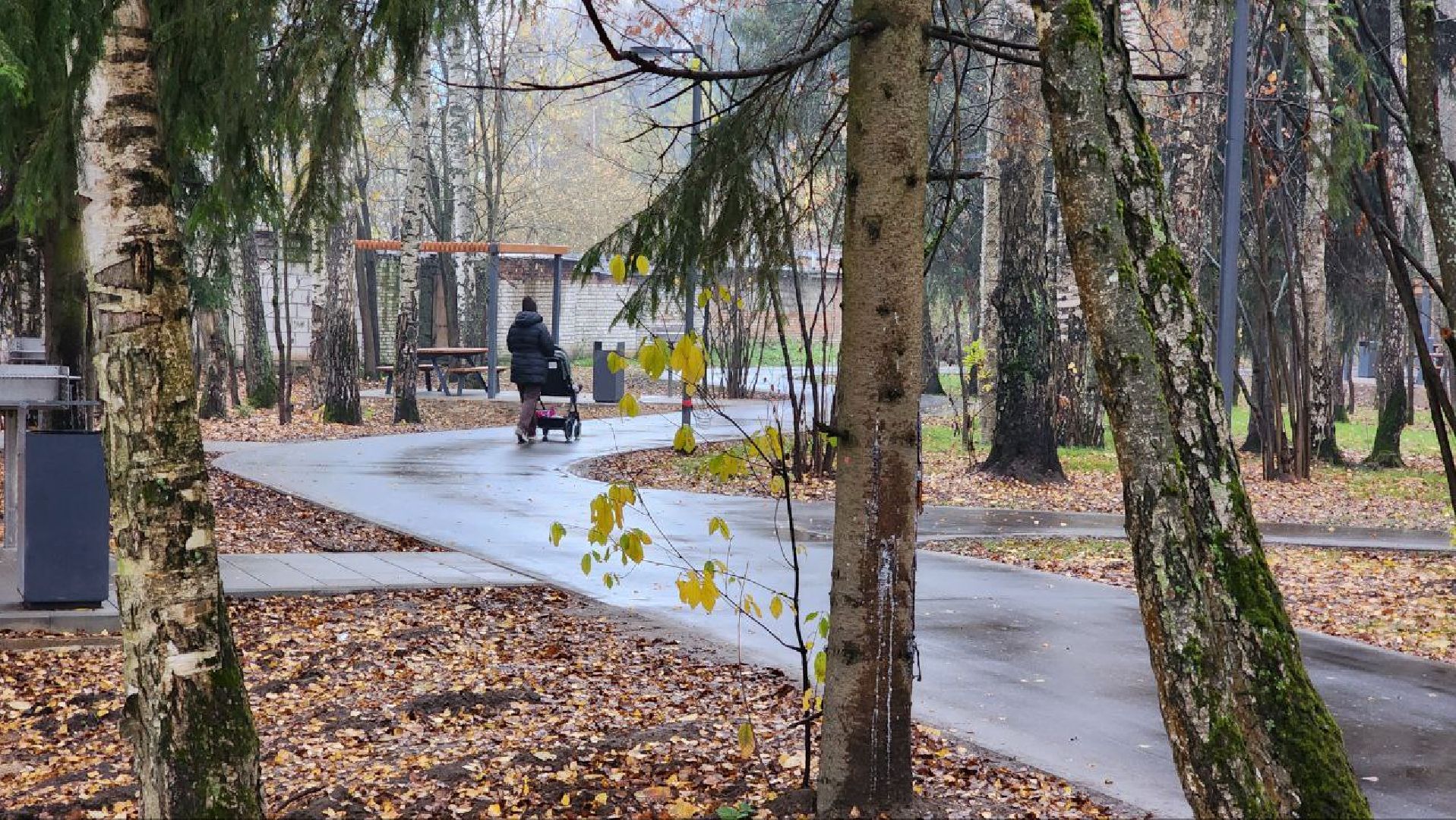 Дмитров, Некрасовский сквер, Комплексное благоустройство, Минблаго,