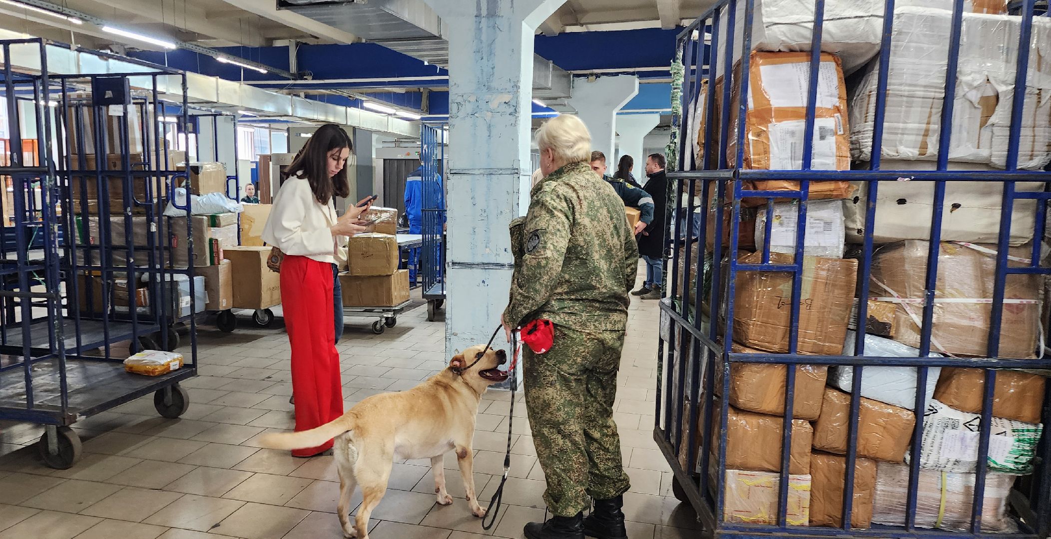 Химки, Шереметьево ,Почта России, Безопасность ,