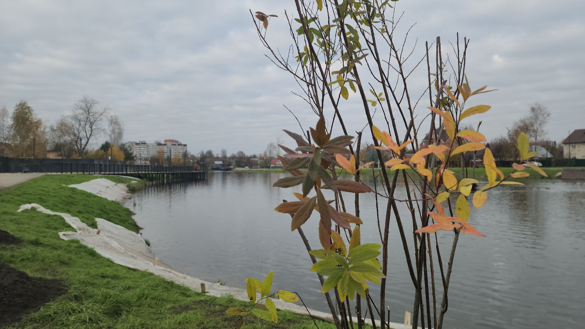 торфяное озеро, красногорск, нахабино, парк,
