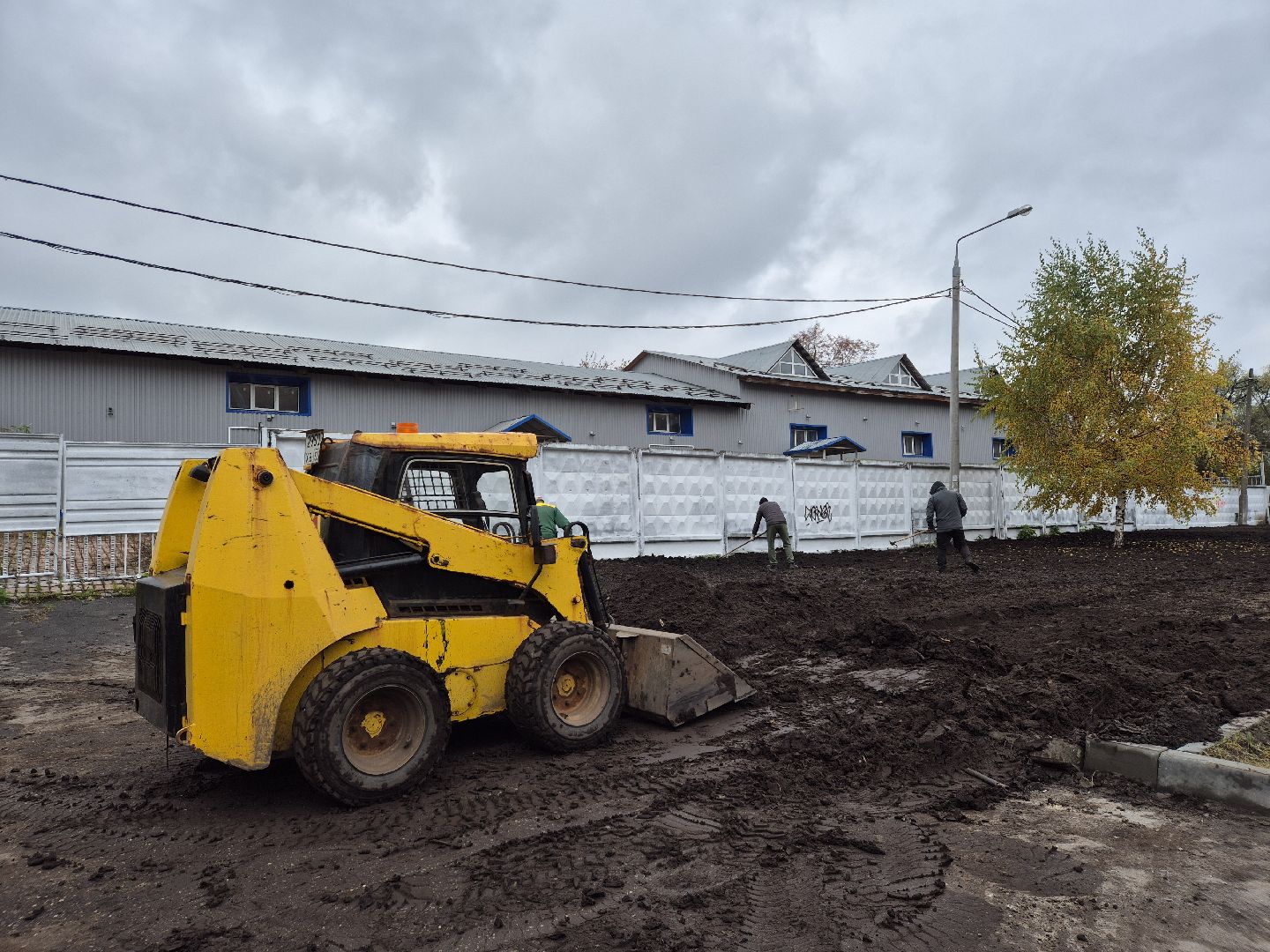 благоустройство территории, орехово-зуево, посев газона,