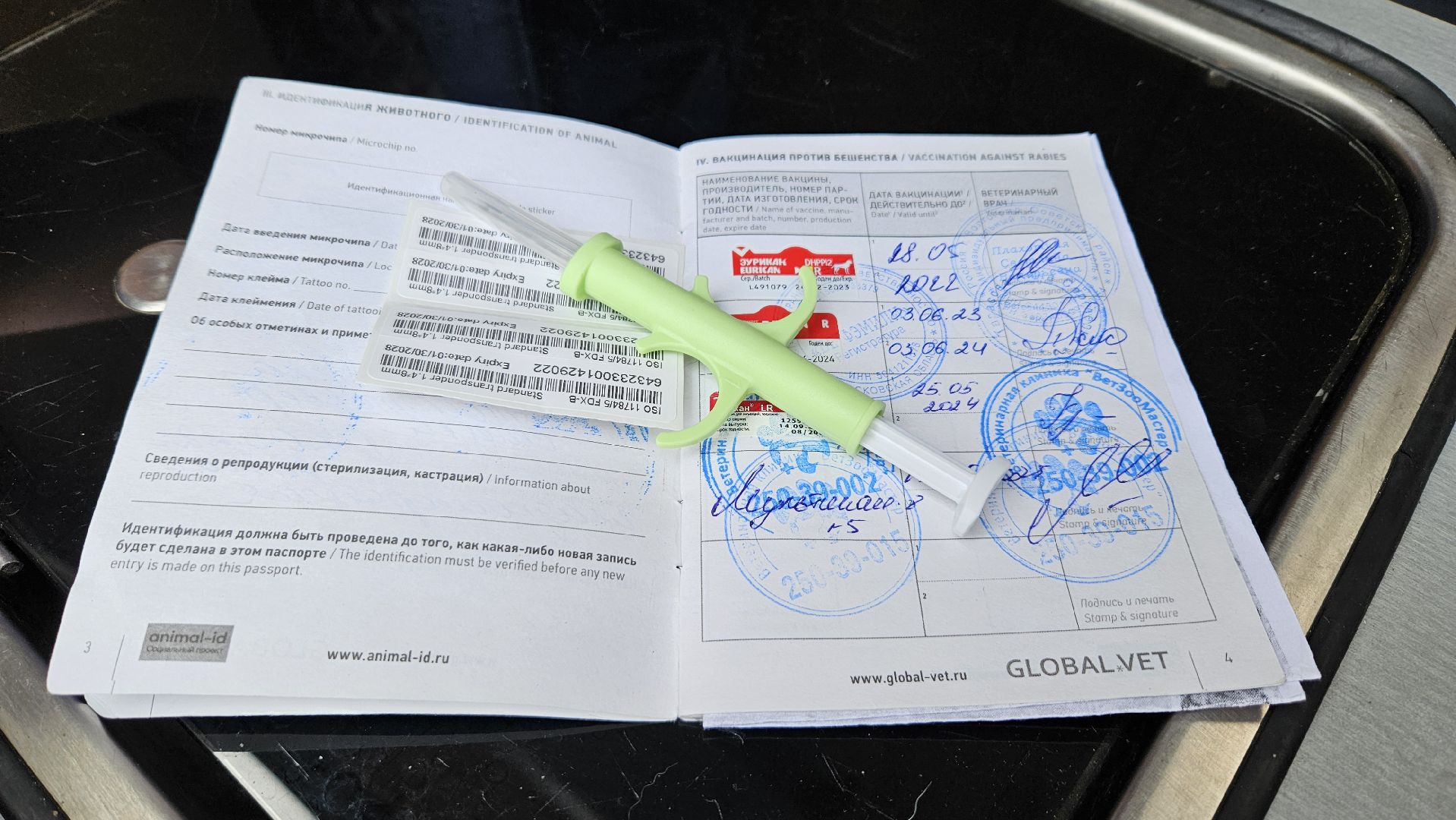 долгопрудный, собаки, чипирование, чипирование домашних животных, чипирование животных, чипирование собак,вакцинация животных, вакцинация от бешенства, вакцинация животных от бешенства,