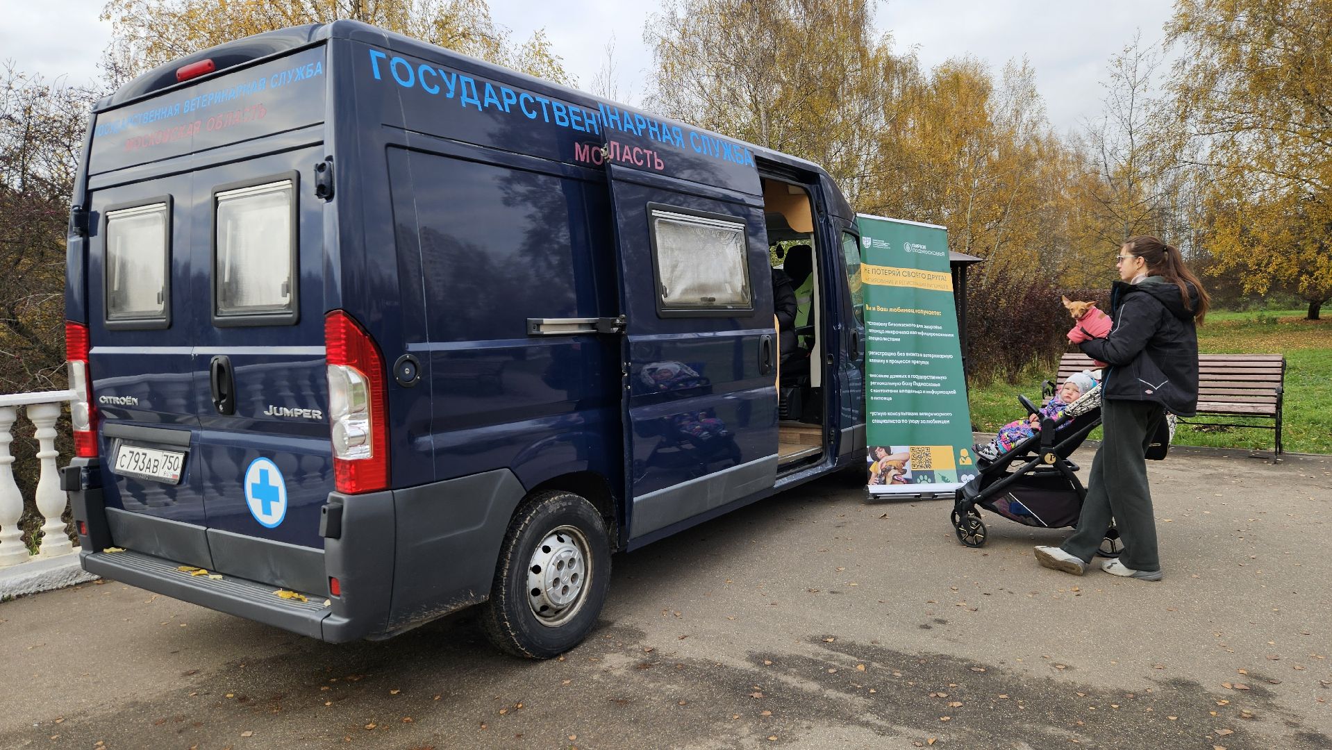 долгопрудный, собаки, чипирование, чипирование домашних животных, чипирование животных, чипирование собак,вакцинация животных, вакцинация от бешенства, вакцинация животных от бешенства,