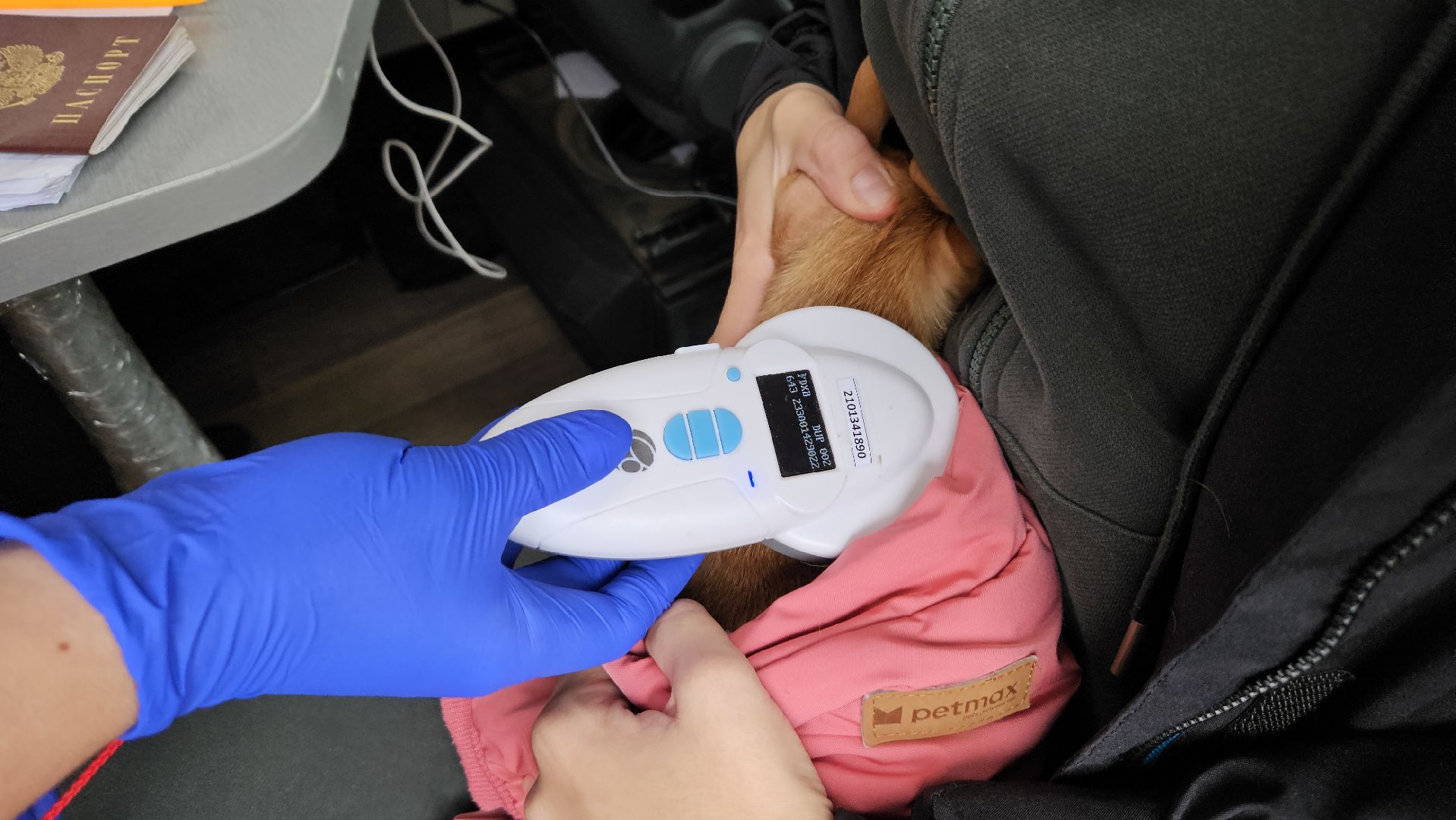 долгопрудный, собаки, чипирование, чипирование домашних животных, чипирование животных, чипирование собак,вакцинация животных, вакцинация от бешенства, вакцинация животных от бешенства,