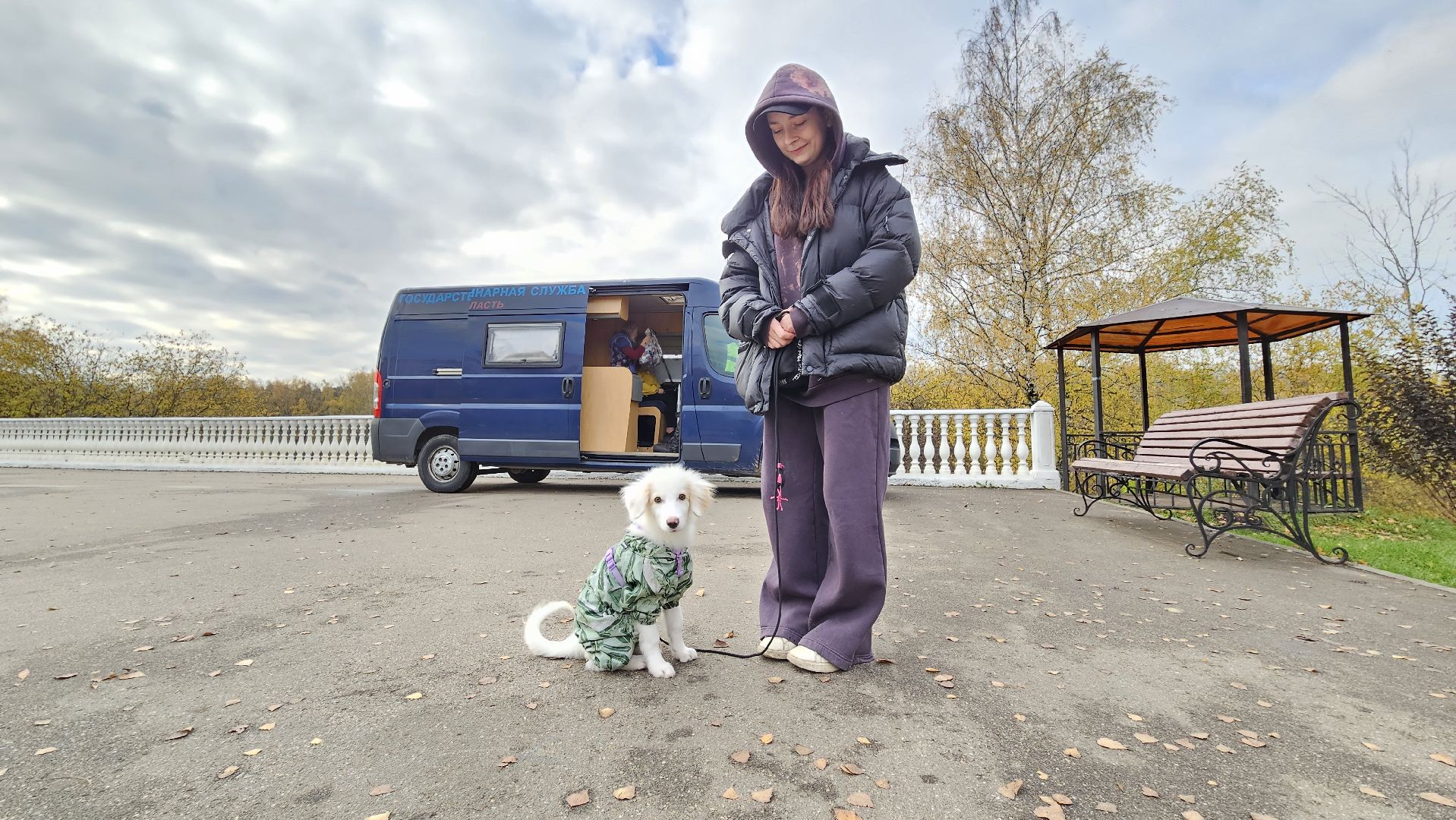 долгопрудный, собаки, чипирование, чипирование домашних животных, чипирование животных, чипирование собак,вакцинация животных, вакцинация от бешенства, вакцинация животных от бешенства,