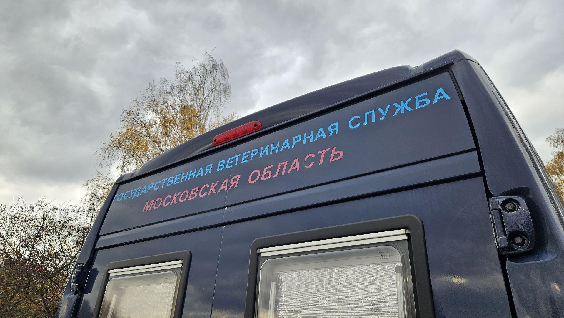 долгопрудный, собаки, чипирование, чипирование домашних животных, чипирование животных, чипирование собак,вакцинация животных, вакцинация от бешенства, вакцинация животных от бешенства,