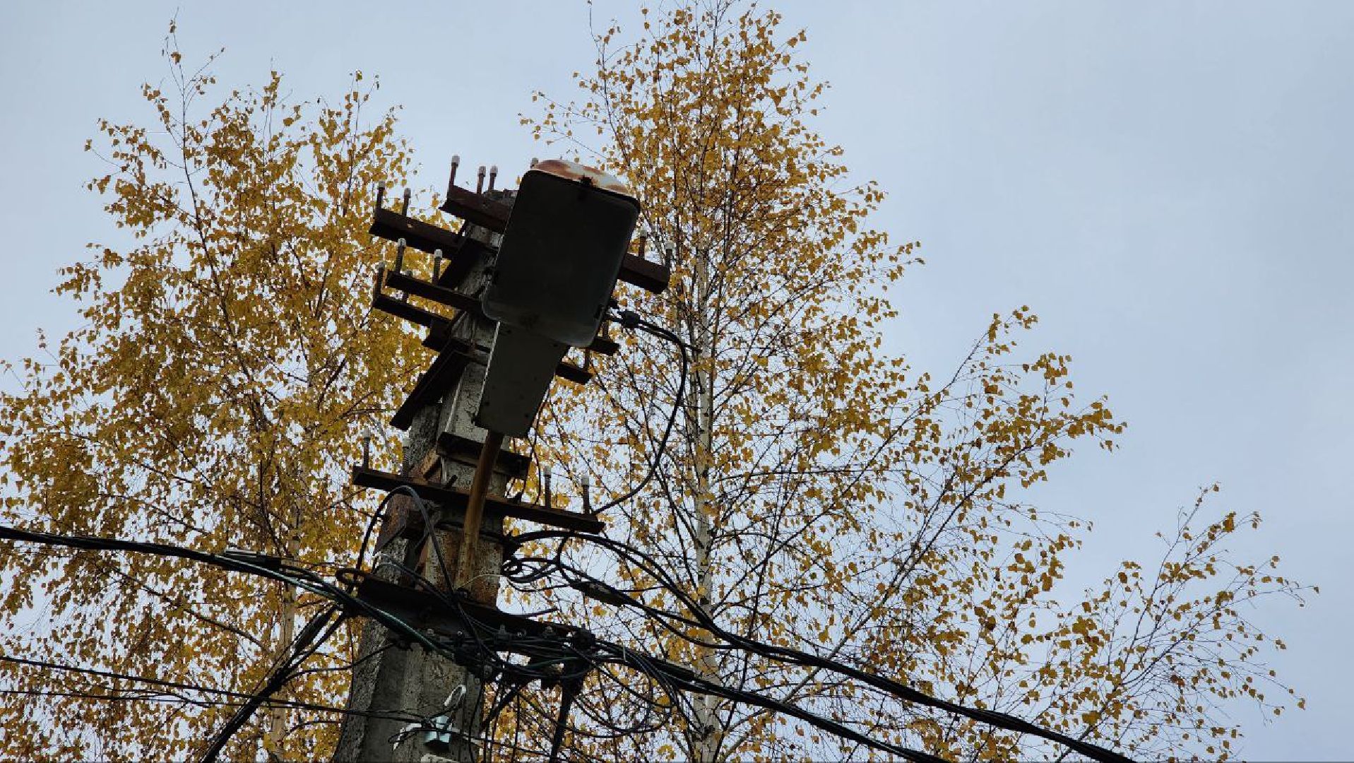 Дмитров, Выездная администрация, Икша, Ермолино, Ремонт дорог,