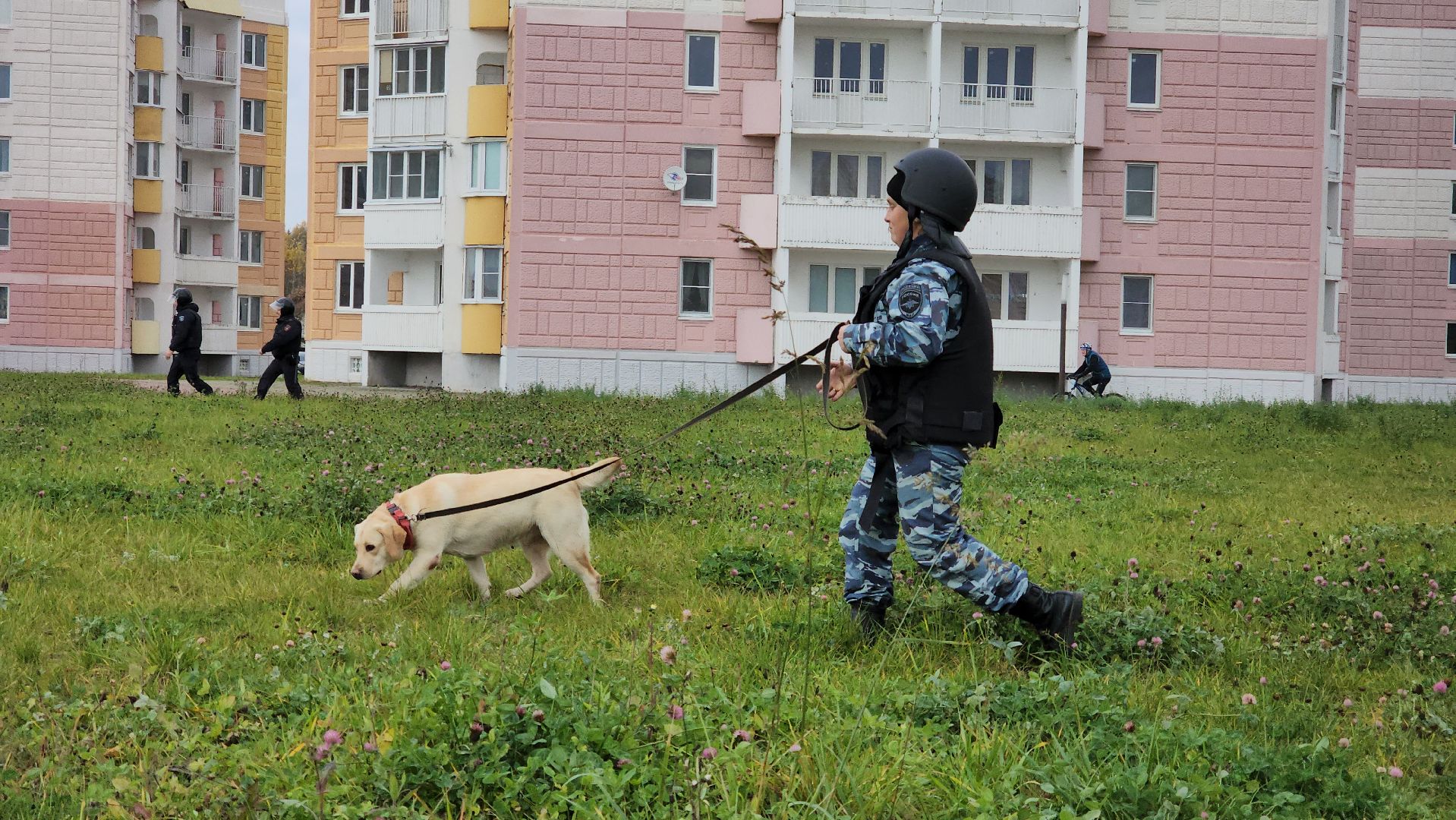 Руза, Безопасность, Учения бпла, Мособлпожспас, Мособлтепло,