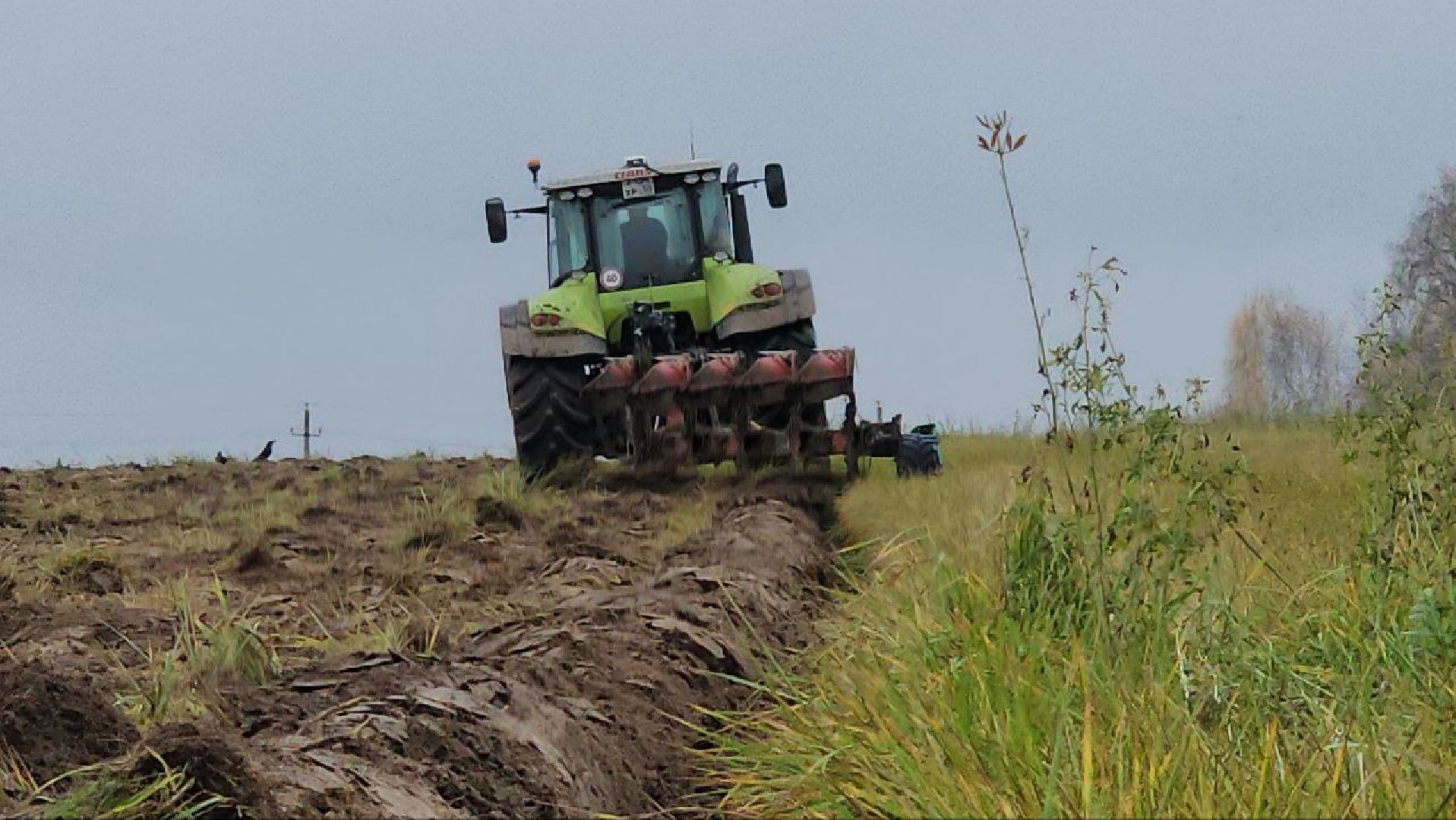 луховицы, сельскоехозяйсвто,