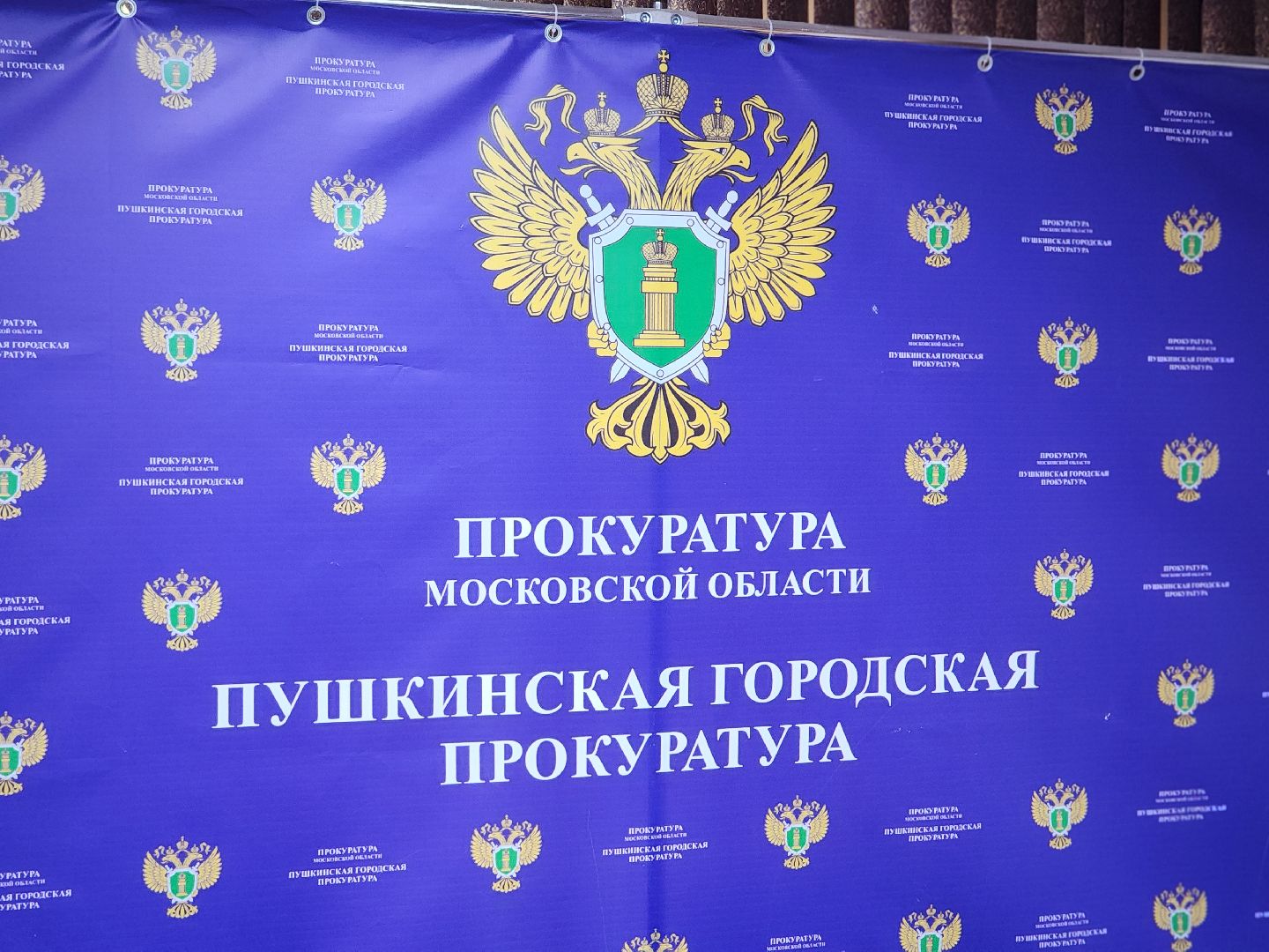 пушкино, пушкинский городской округ, прокуратура, просветительские лекции, мошеничество, мошеннические схемы, активное долголетие, пенсионеры, защита от мошенников, телефонные мошенники,