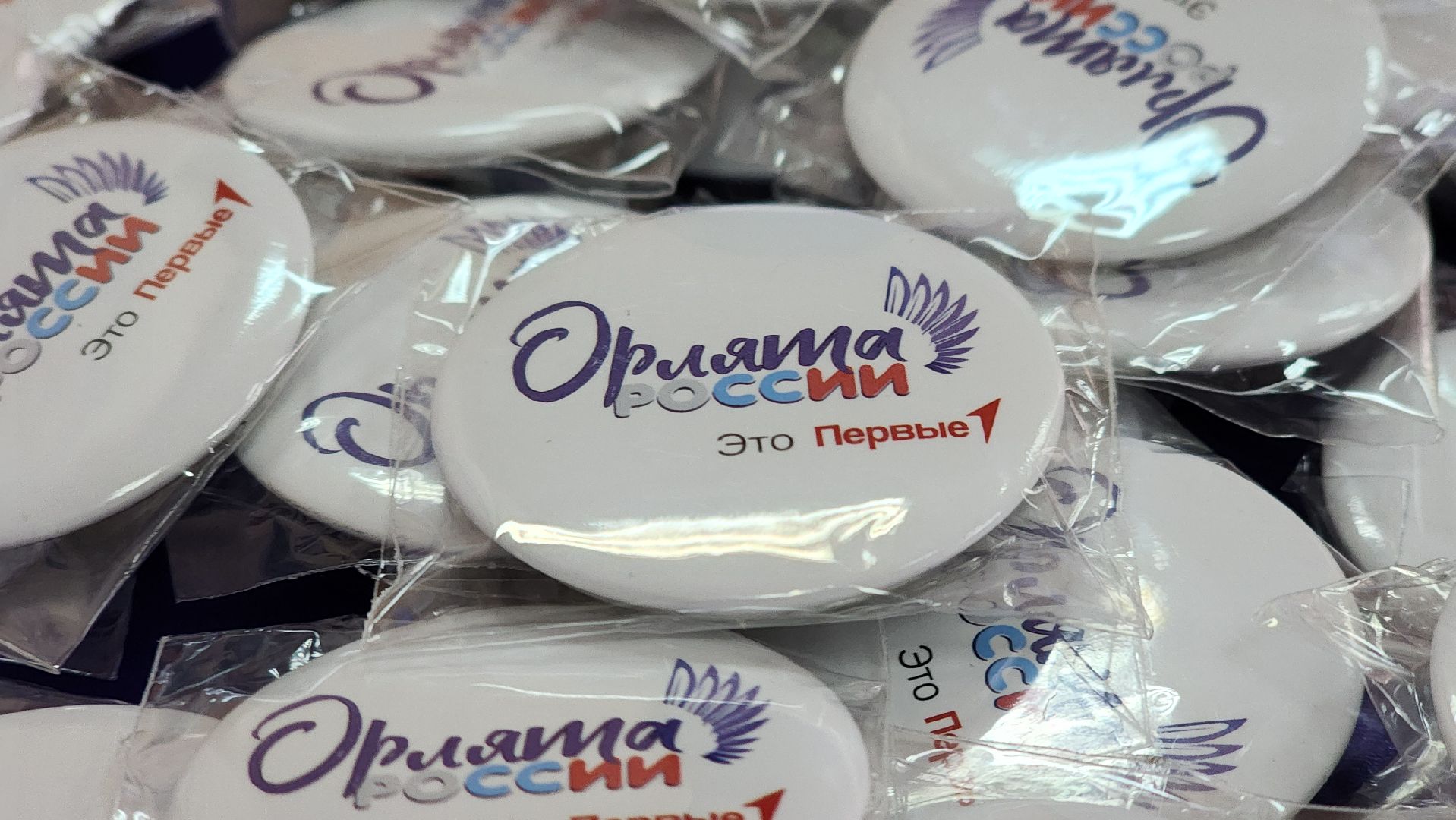 Руза, нестеровский лицей, орлята россии,
