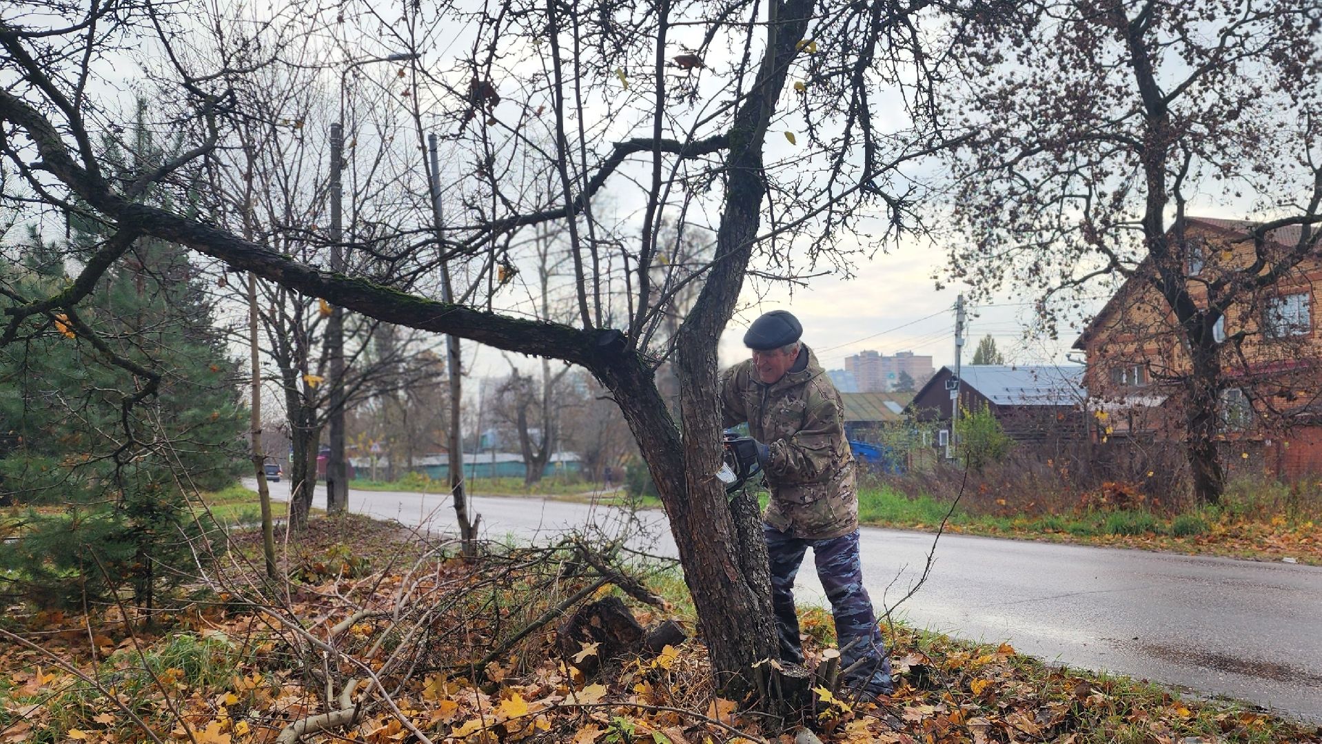 благоустрйоство, опиловка деревьев, лосино-петровский,
