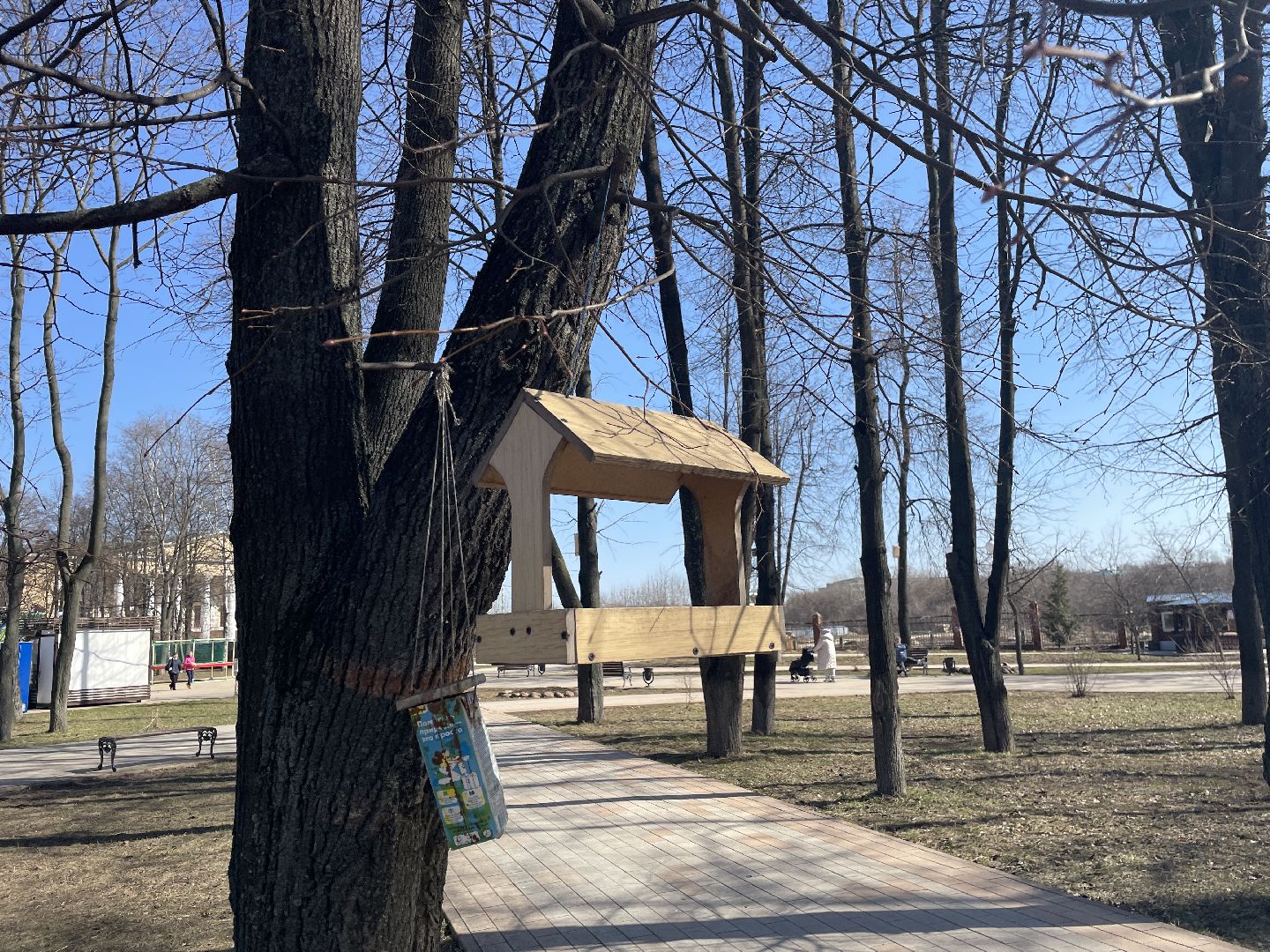 Скворечники, птицы