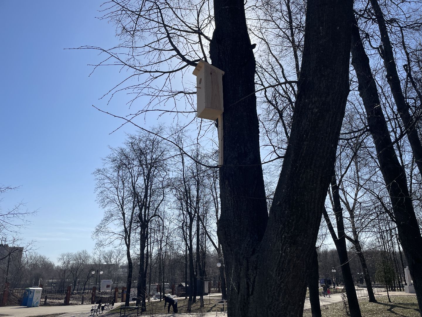 Скворечники, птицы