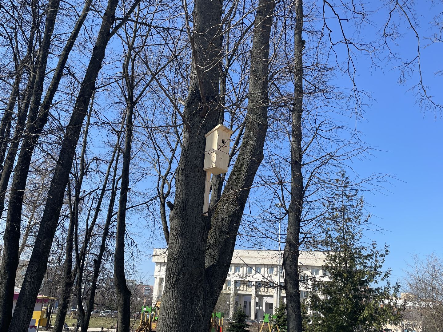 Скворечники, птицы