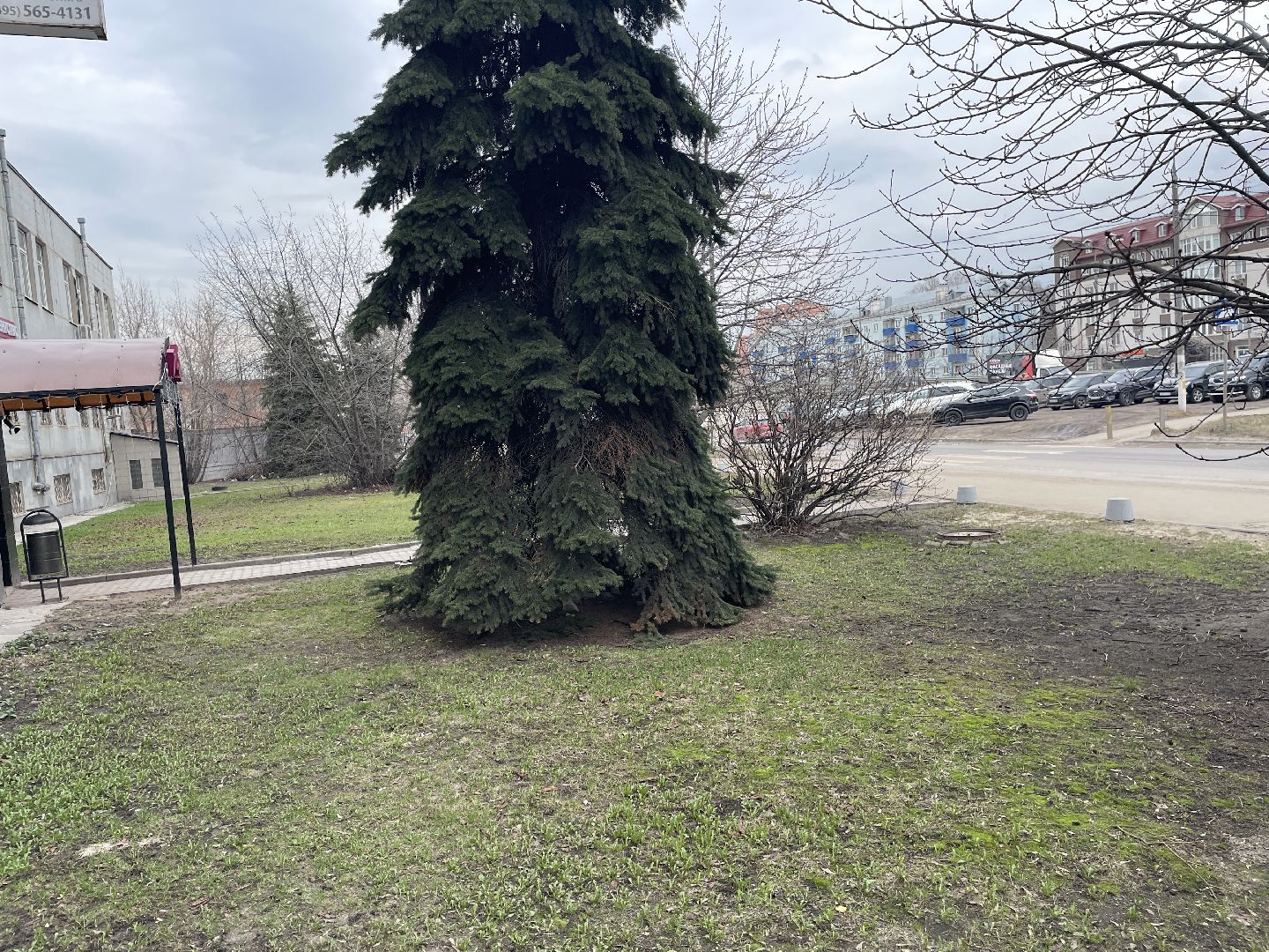 Елки, уборка