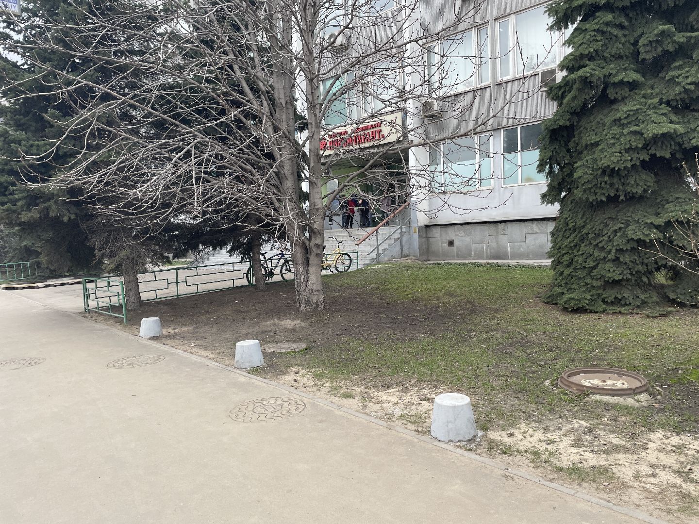 Елки, уборка