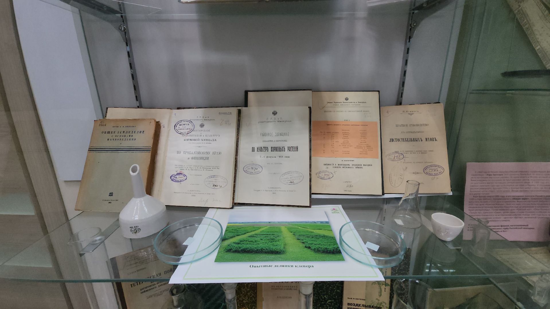 луговая, Выставка, музей истории, Лобня,