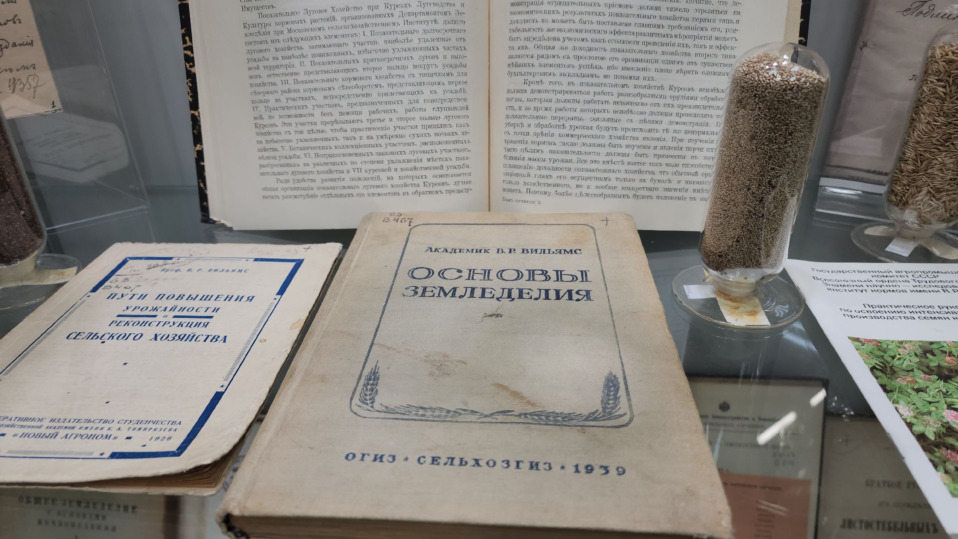 луговая, Выставка, музей истории, Лобня,