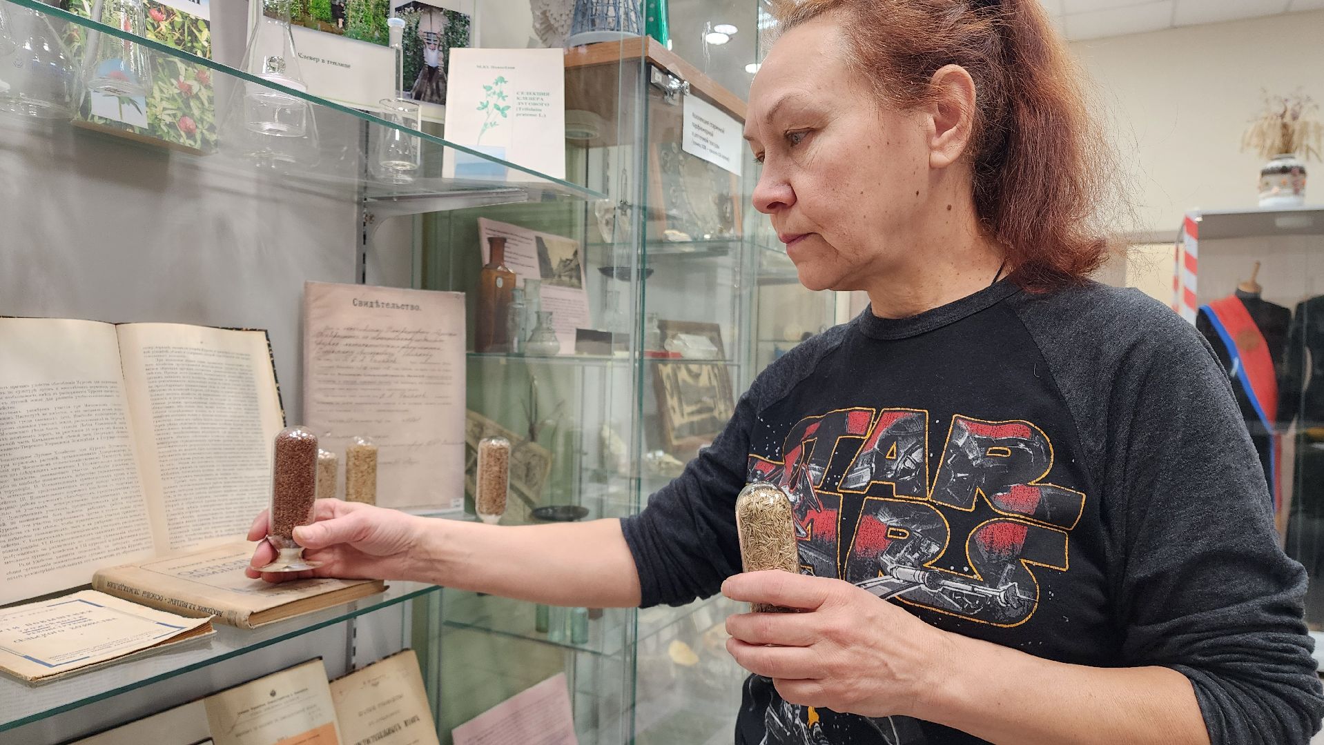 луговая, Выставка, музей истории, Лобня,