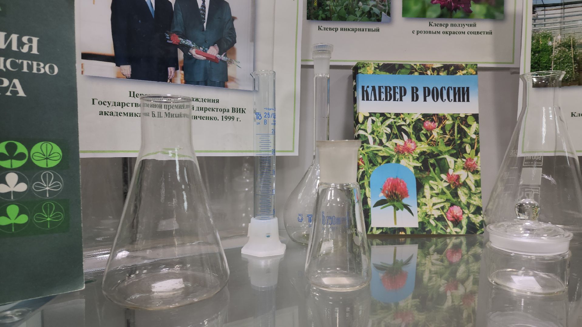 луговая, Выставка, музей истории, Лобня,