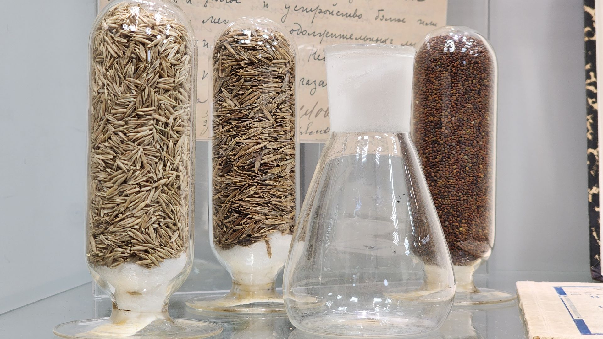 луговая, Выставка, музей истории, Лобня,