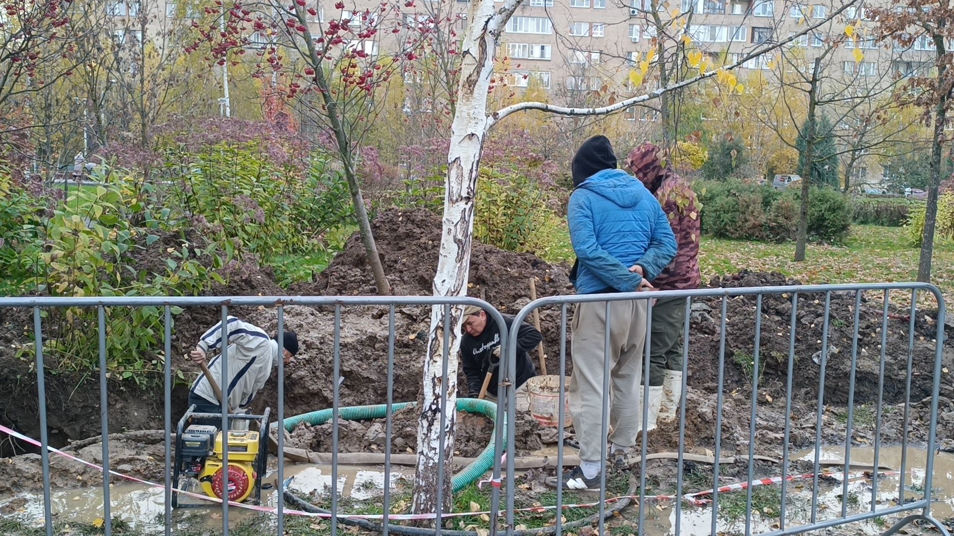 парк , лобня, ремонт,