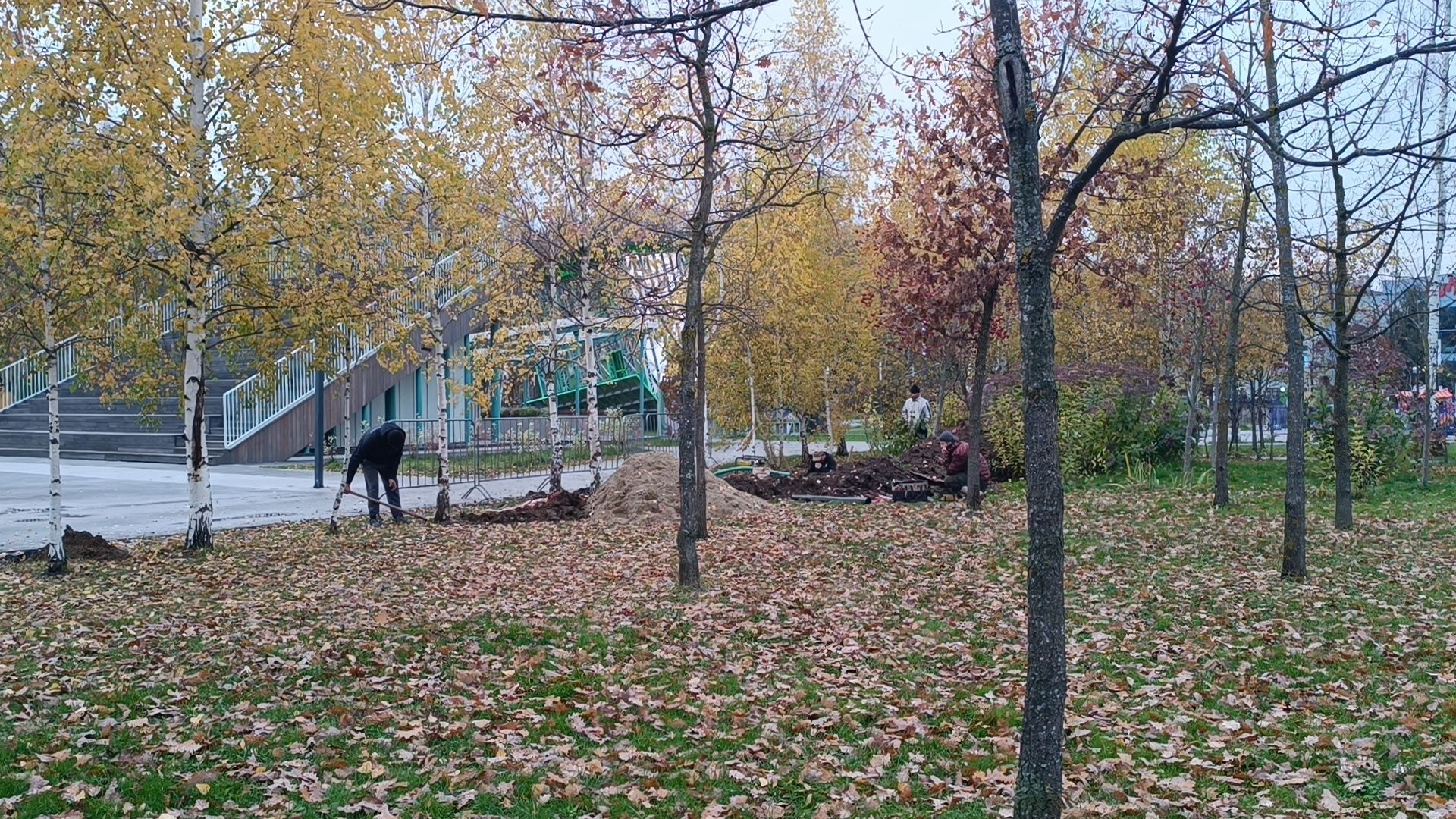 парк , лобня, ремонт,