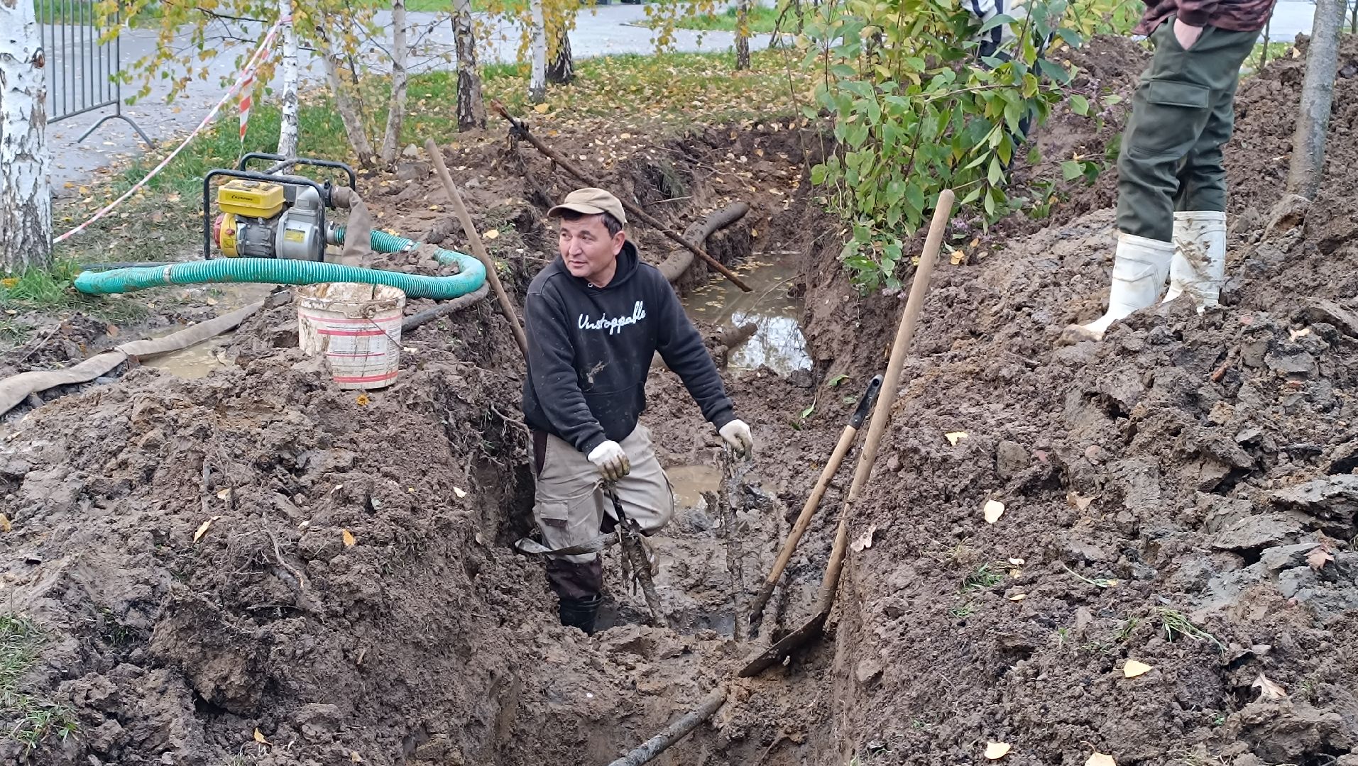 парк , лобня, ремонт,