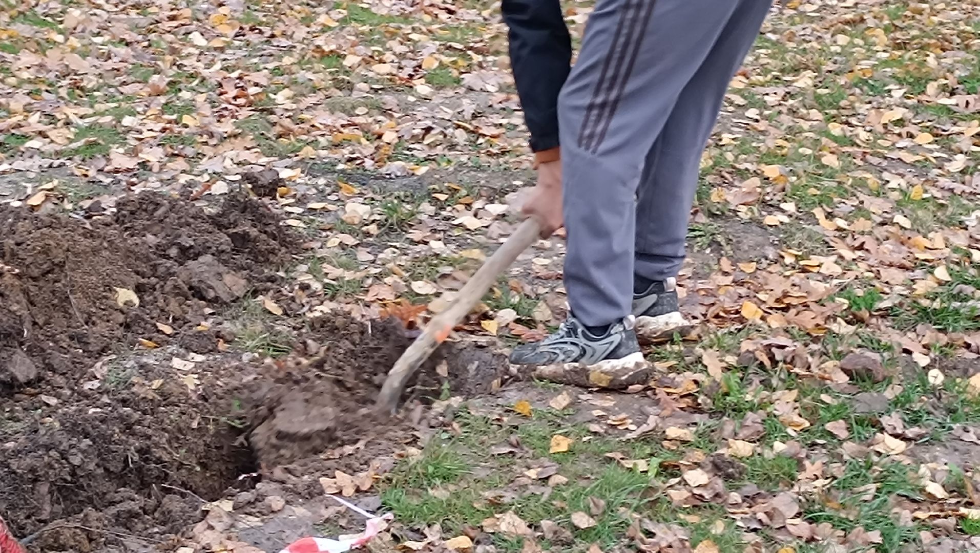 парк , лобня, ремонт,