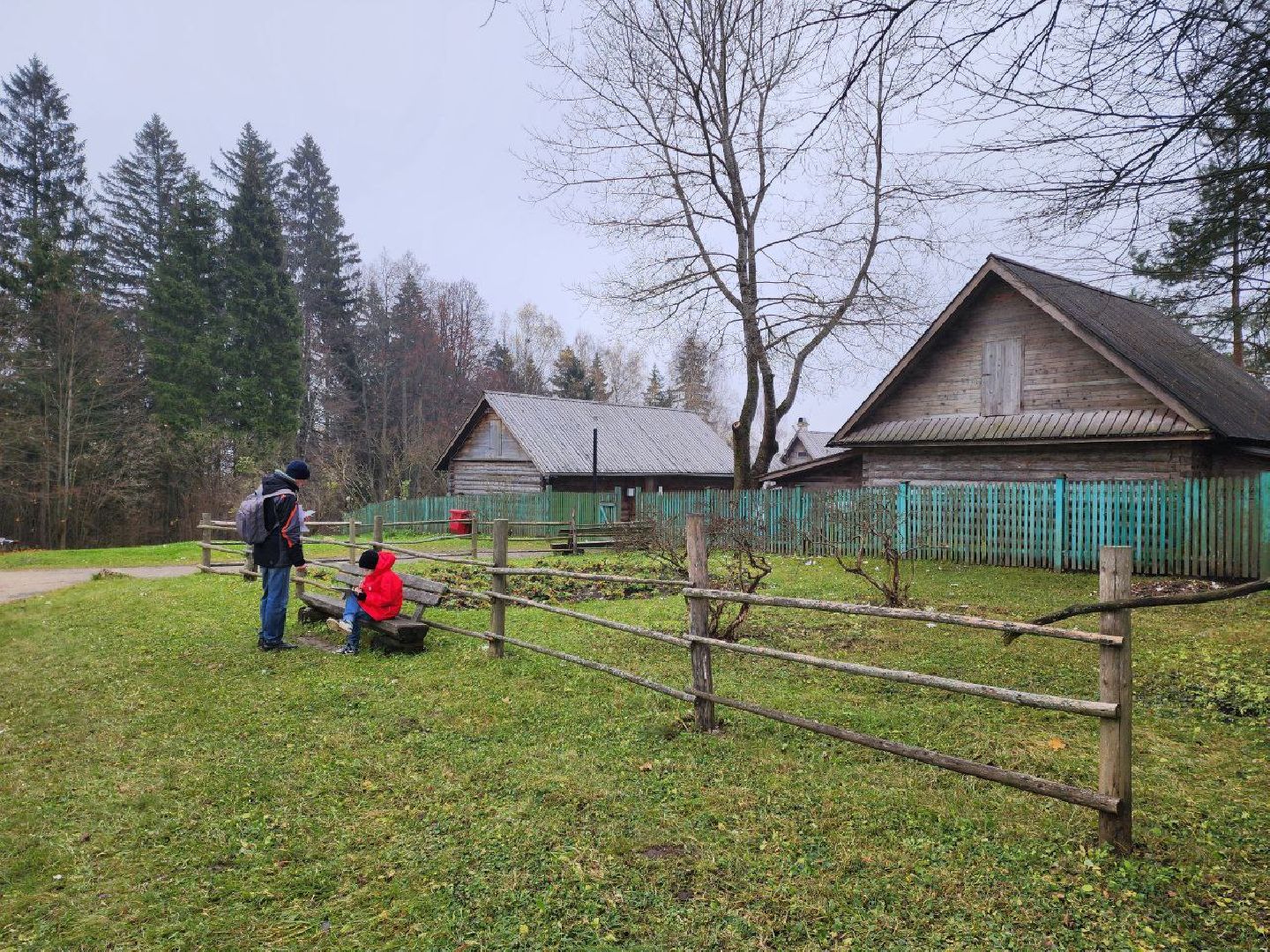 солнечногорск, культура, общество,