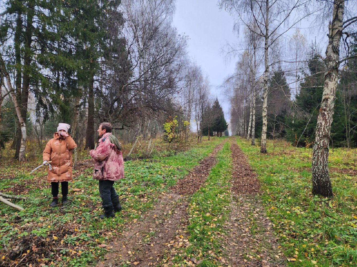 солнечногорск, культура, общество,
