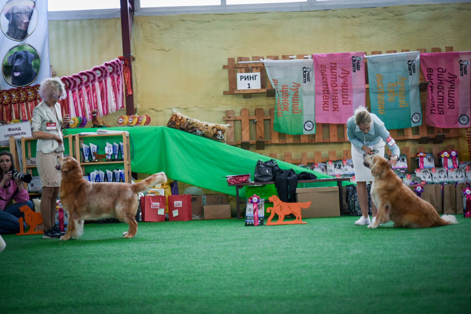 бронницы, выставка собак в бронницах, выставка ретриверов в бронницах, российский ретривер клуб,