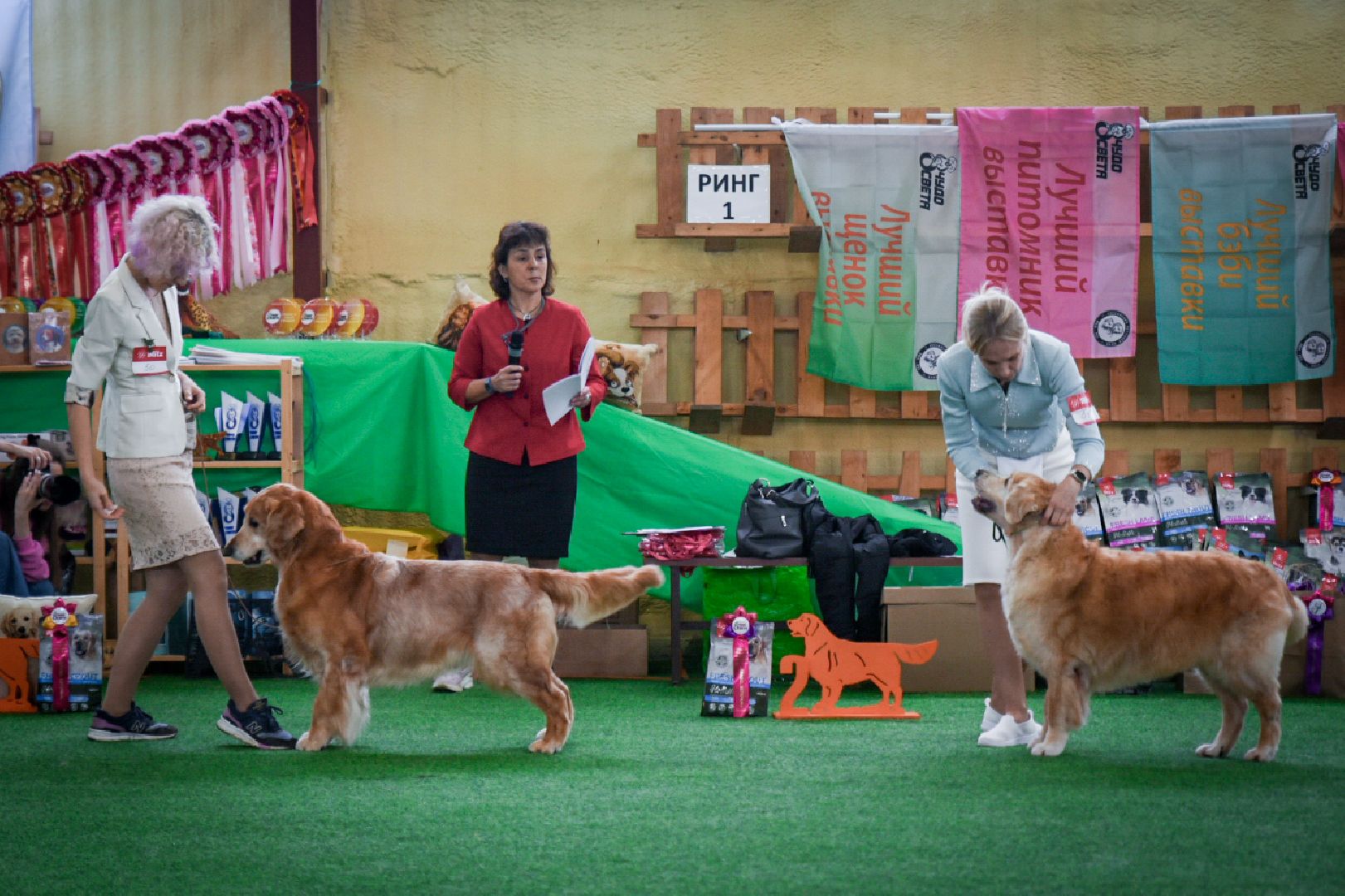 бронницы, выставка собак в бронницах, выставка ретриверов в бронницах, российский ретривер клуб,