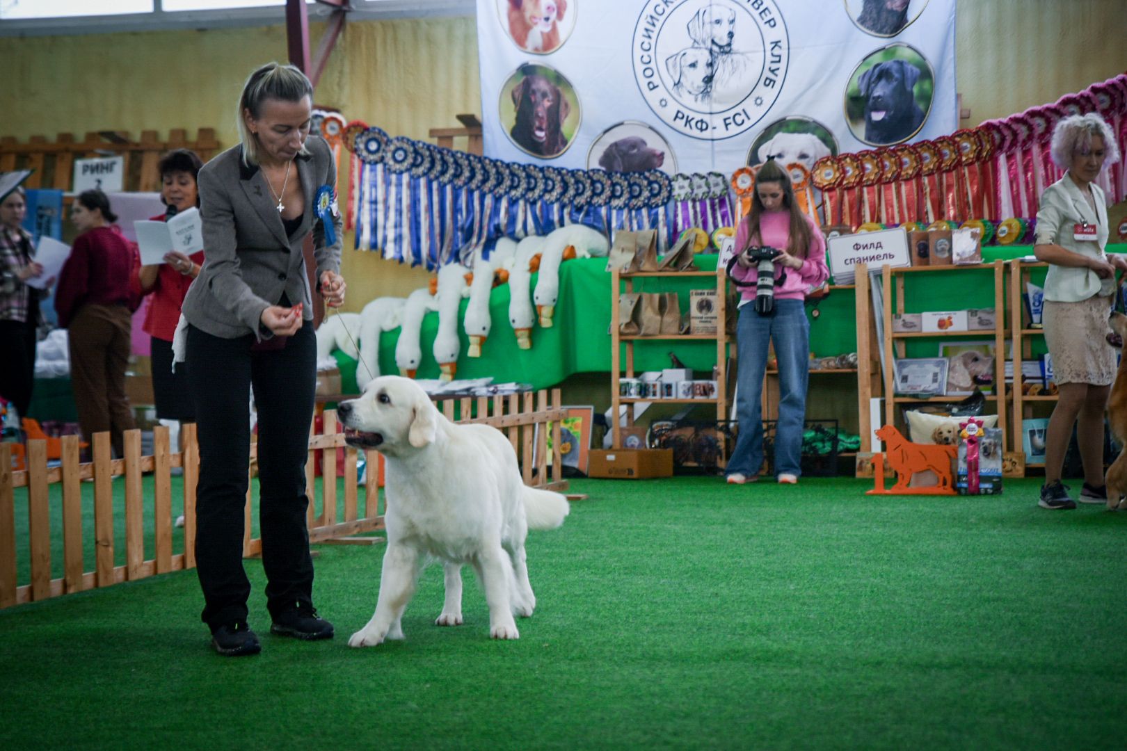 бронницы, выставка собак в бронницах, выставка ретриверов в бронницах, российский ретривер клуб,