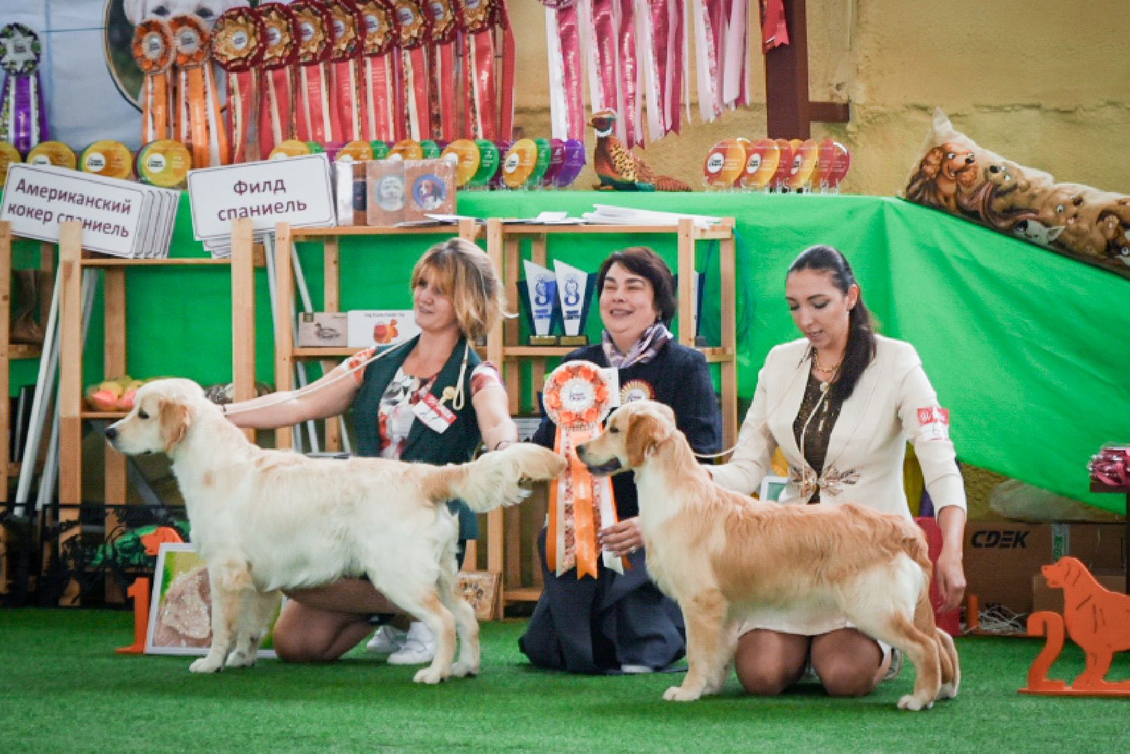 бронницы, выставка собак в бронницах, выставка ретриверов в бронницах, российский ретривер клуб,