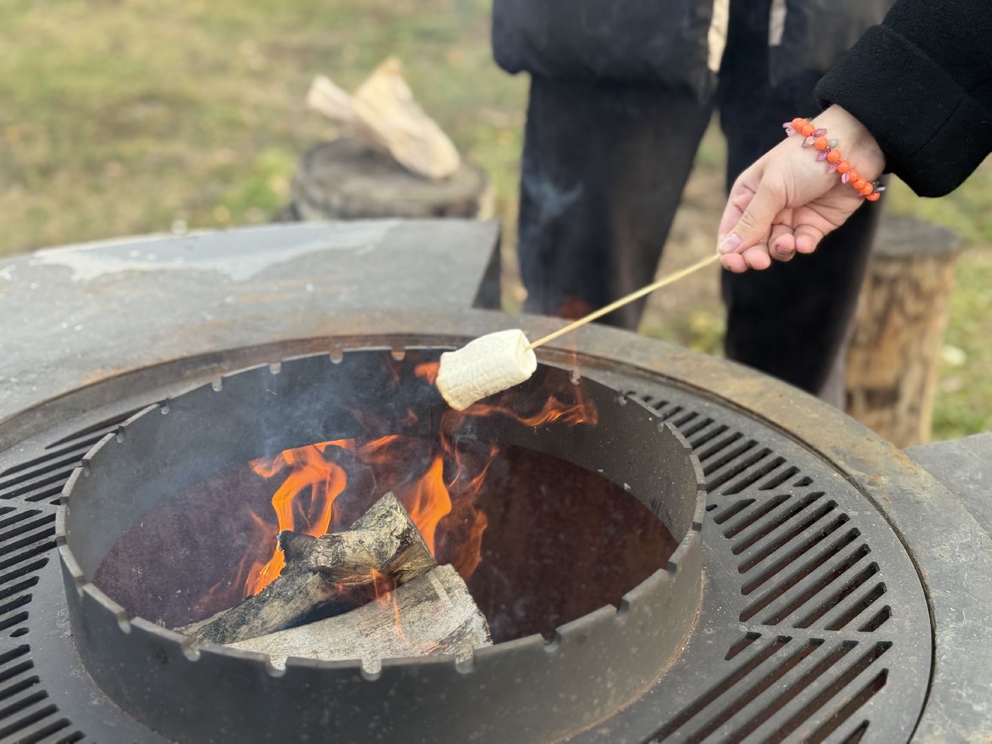 раменское, фестиваль тыкв, туризм, ферма 56,