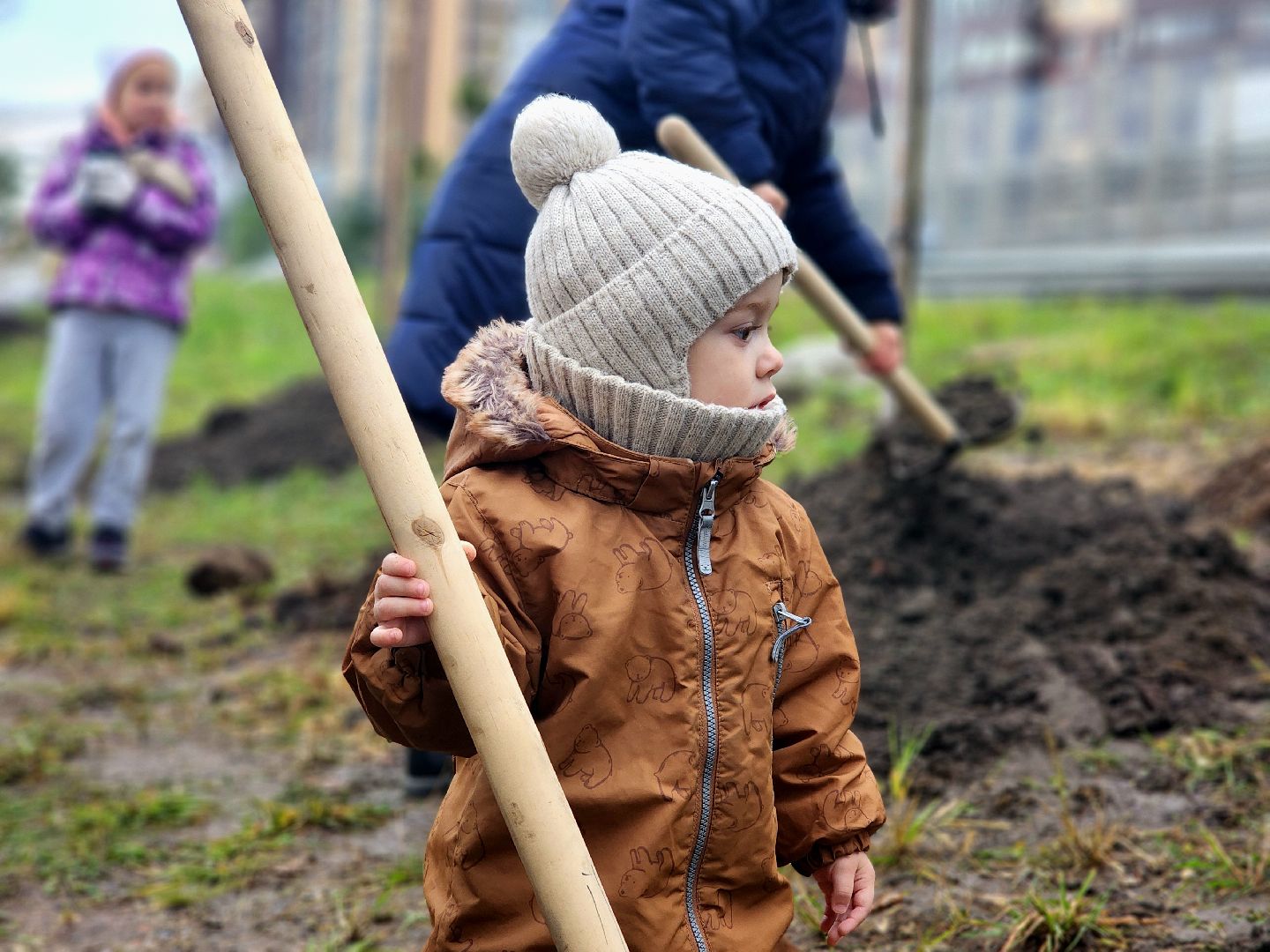 озеленение, деревья, черемуха, экологическая акция,