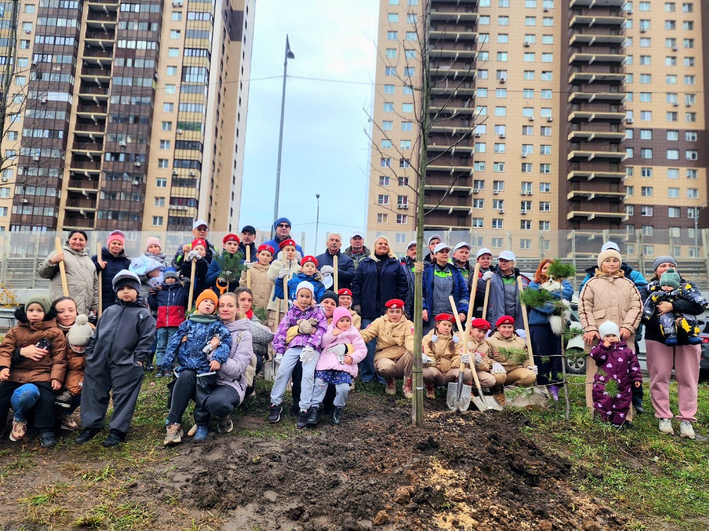 озеленение, деревья, черемуха, экологическая акция,