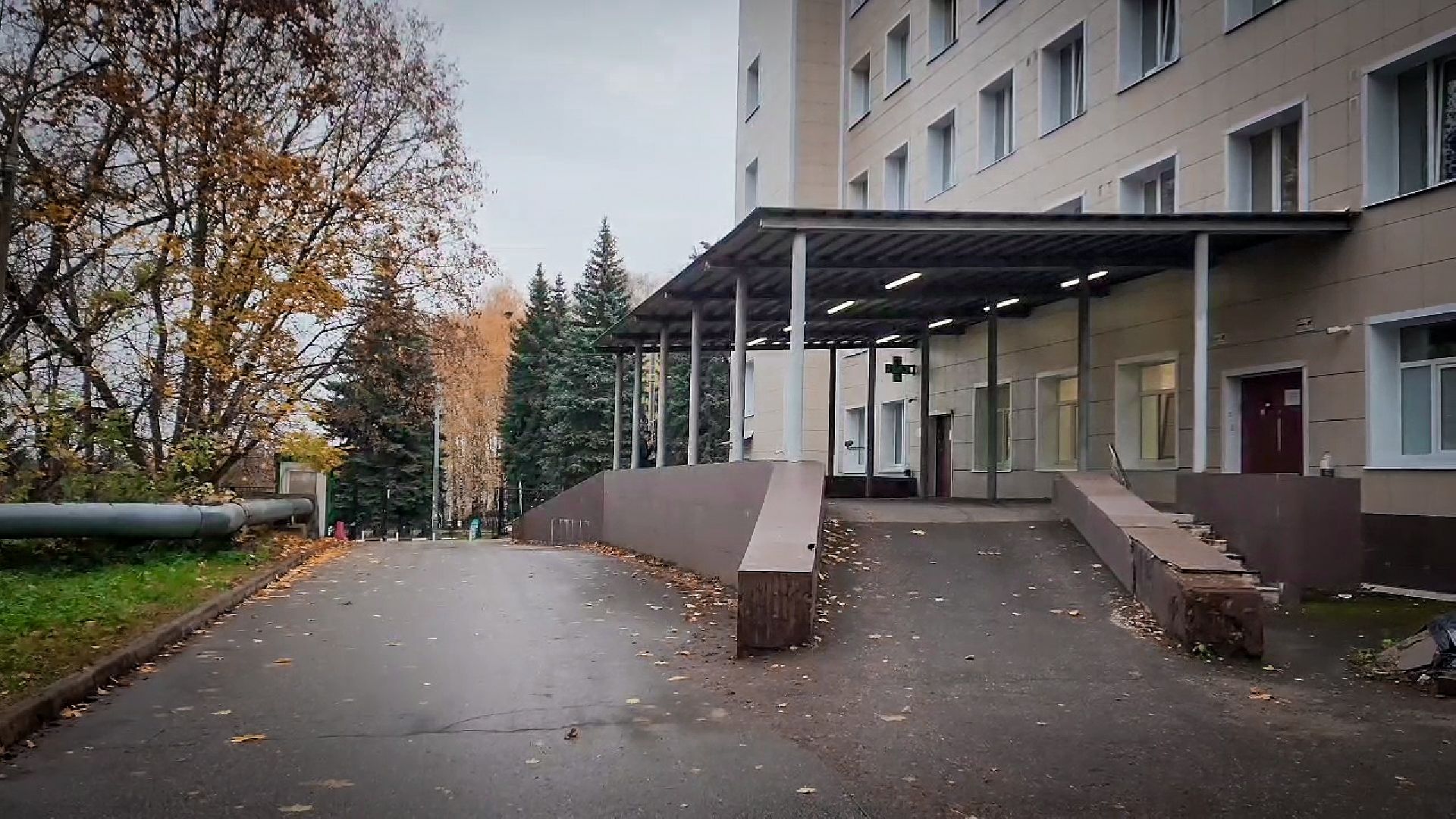 бронницы, новый врач-терапевт , укус ската, врач-терапевт приемного отделения,