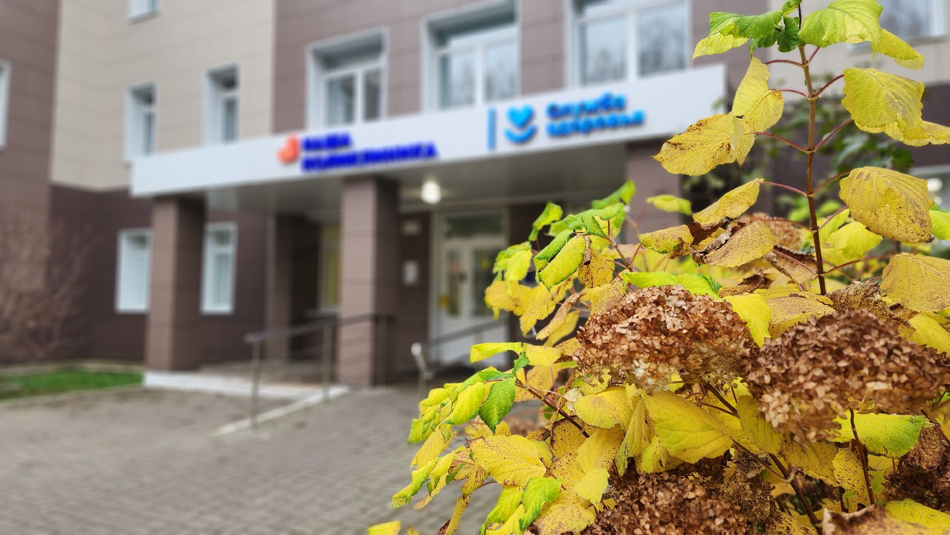 клин, здоровье, диспансеризация, медицина,