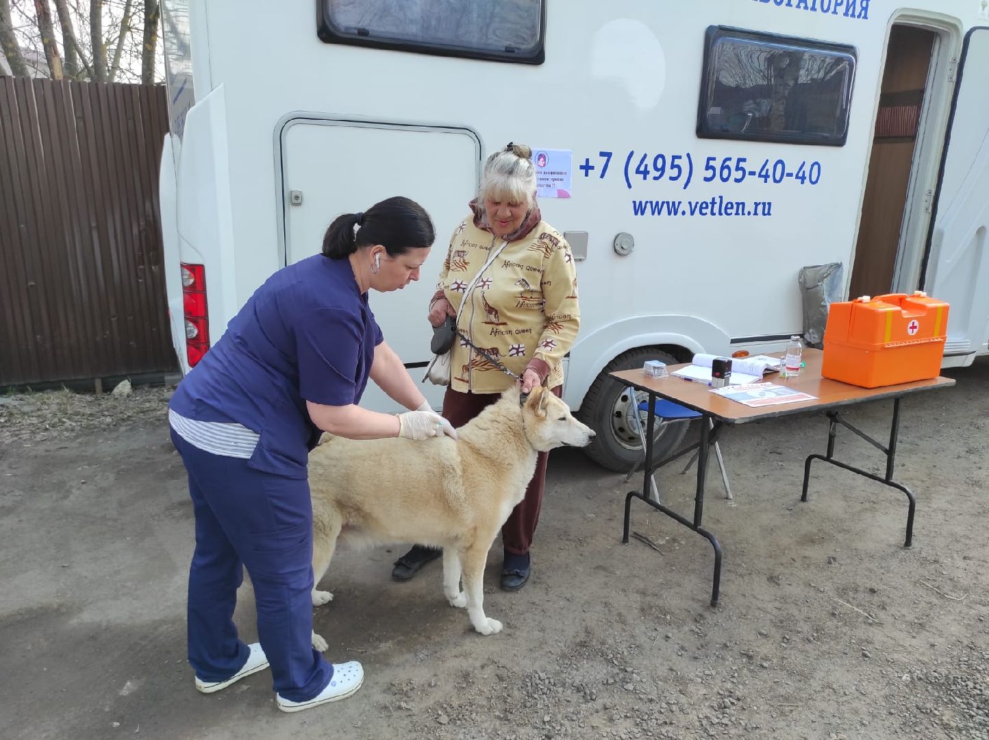 Вакцинация, животные