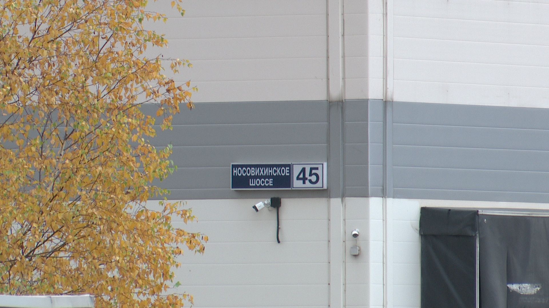 Реутов, здравоохранение,прививки,вакцинация,