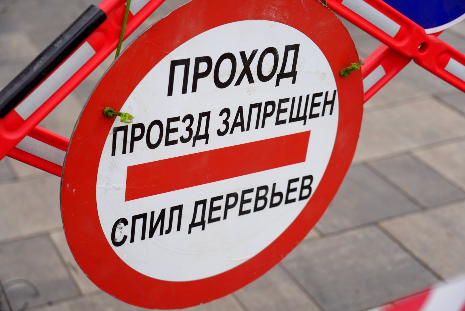 благоустройство , озеленение , сергиев посад, сергиево-посадский городской округ,арбористы,
