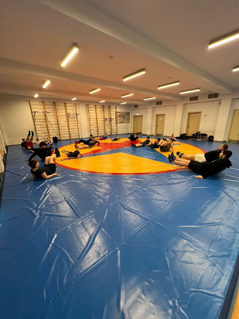 Борьба, спорт