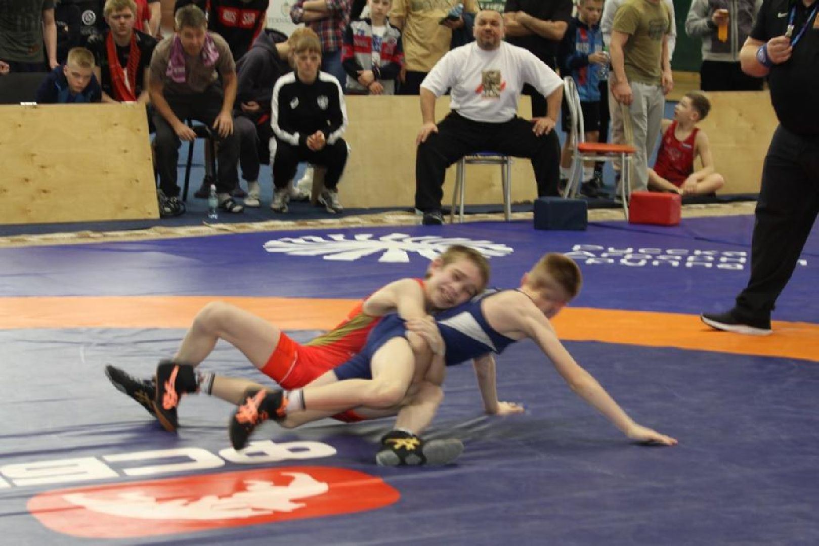 Борьба, спорт