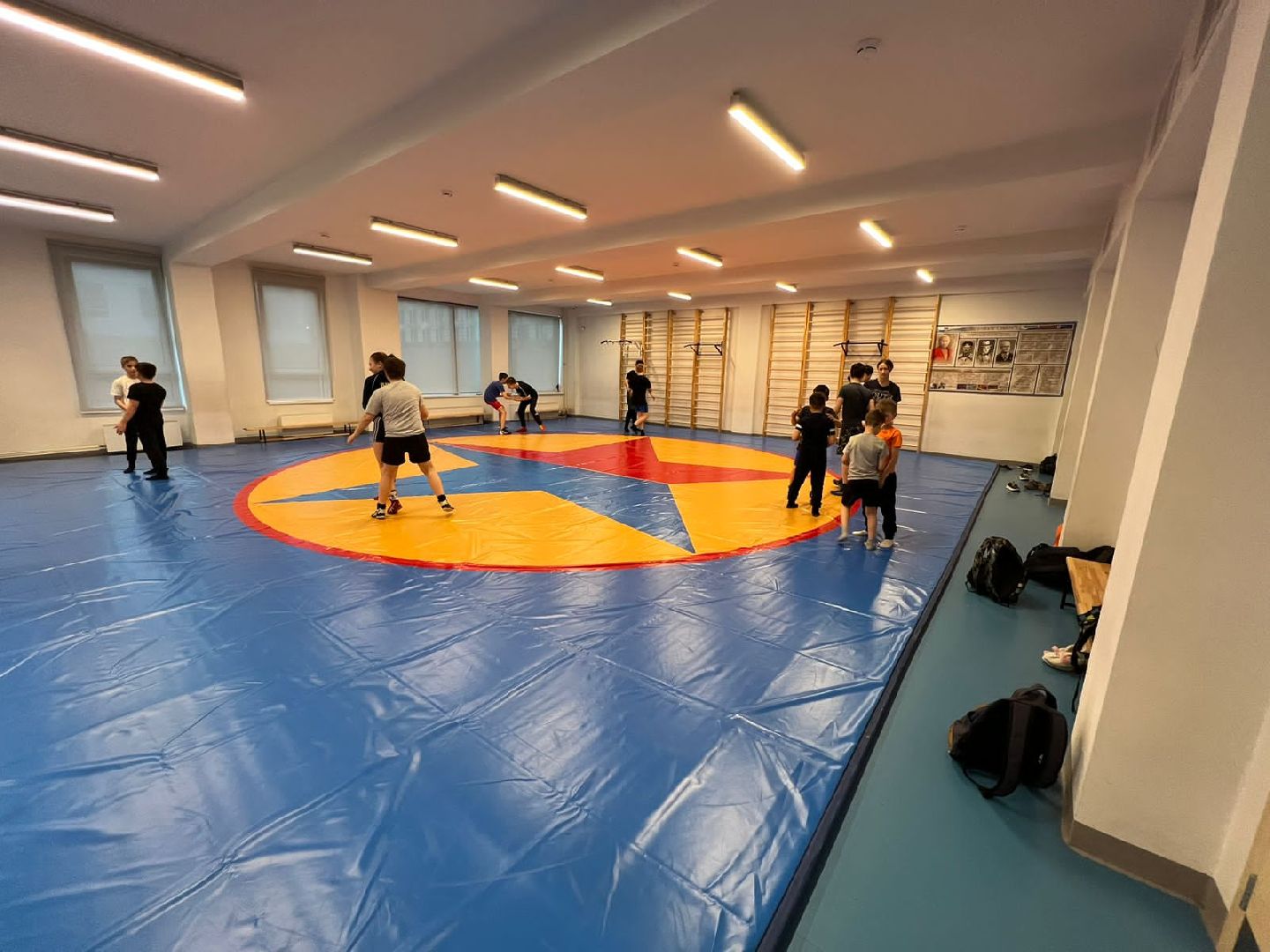 Борьба, спорт