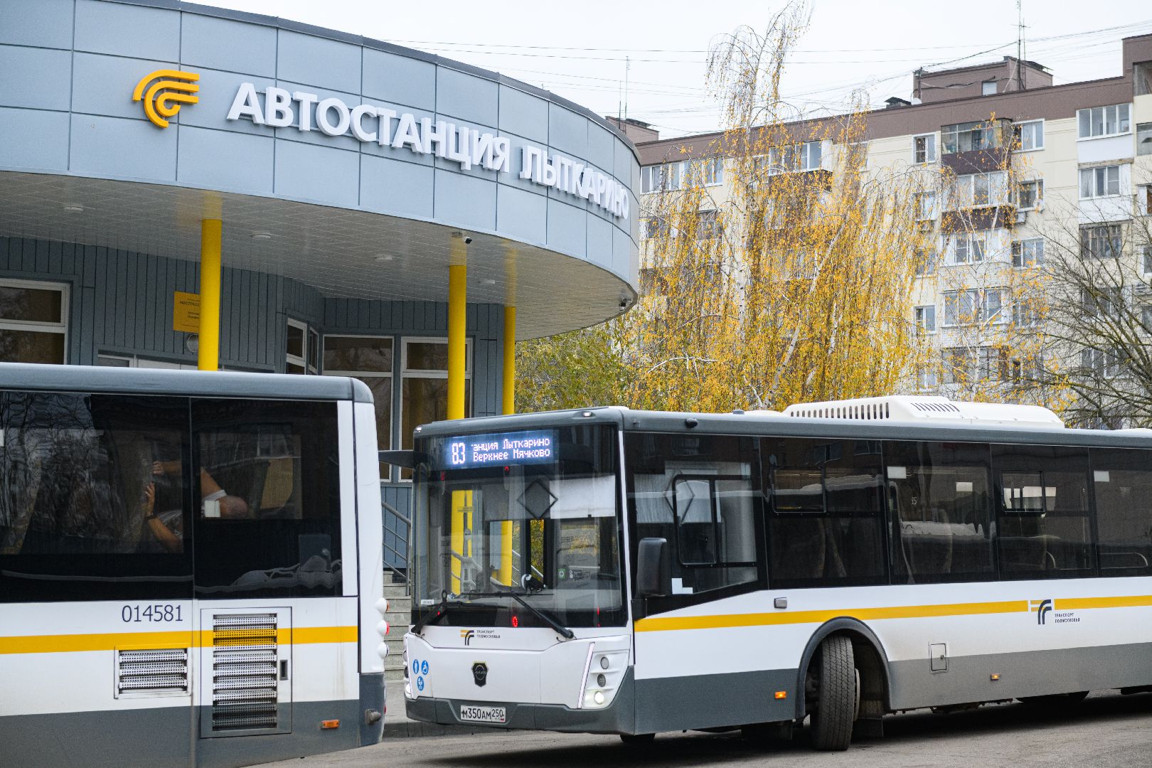 транспорт, автобус 83, лыткарино,